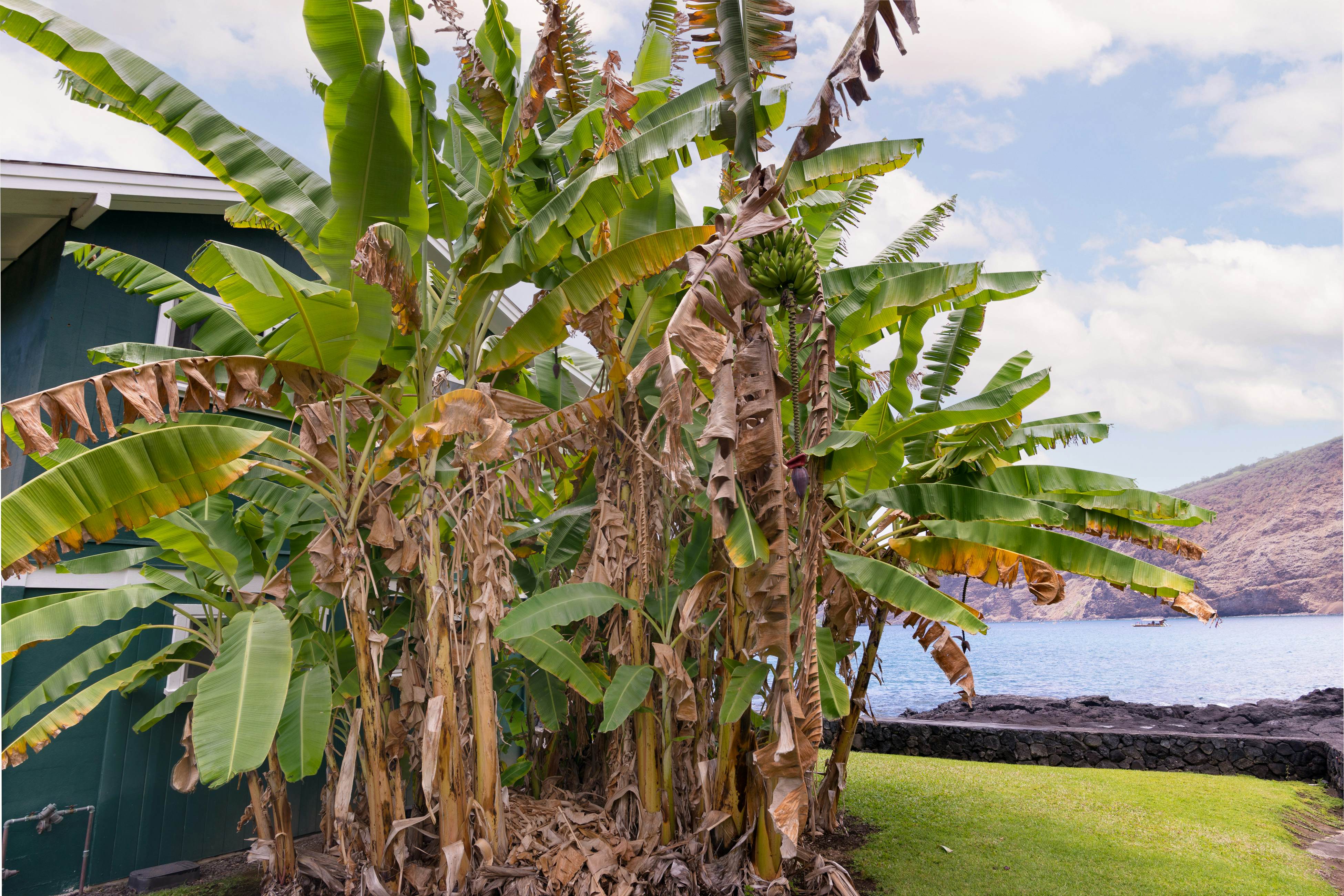 Manini Beach Breath Taker