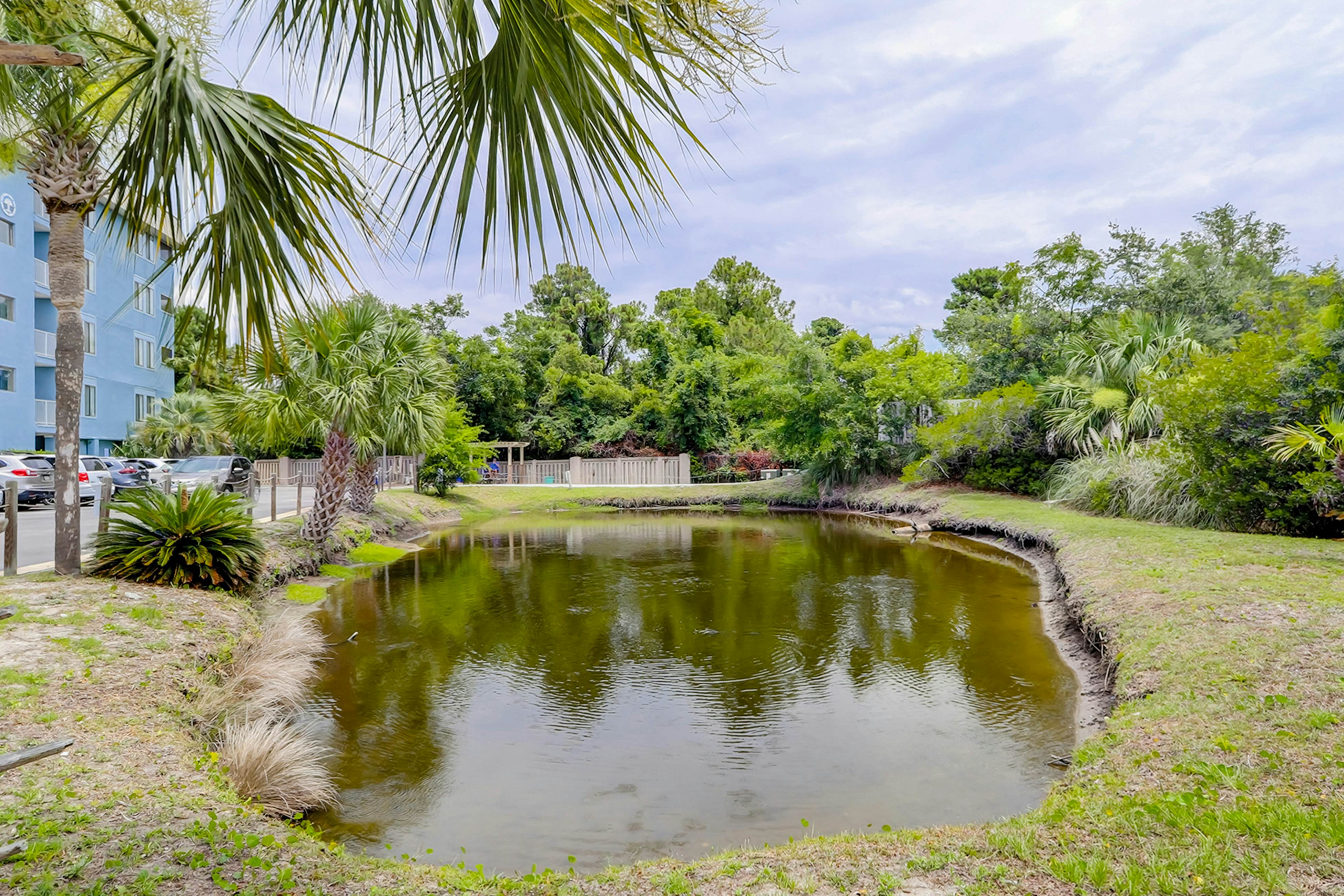 Hilton Head Resort 1214