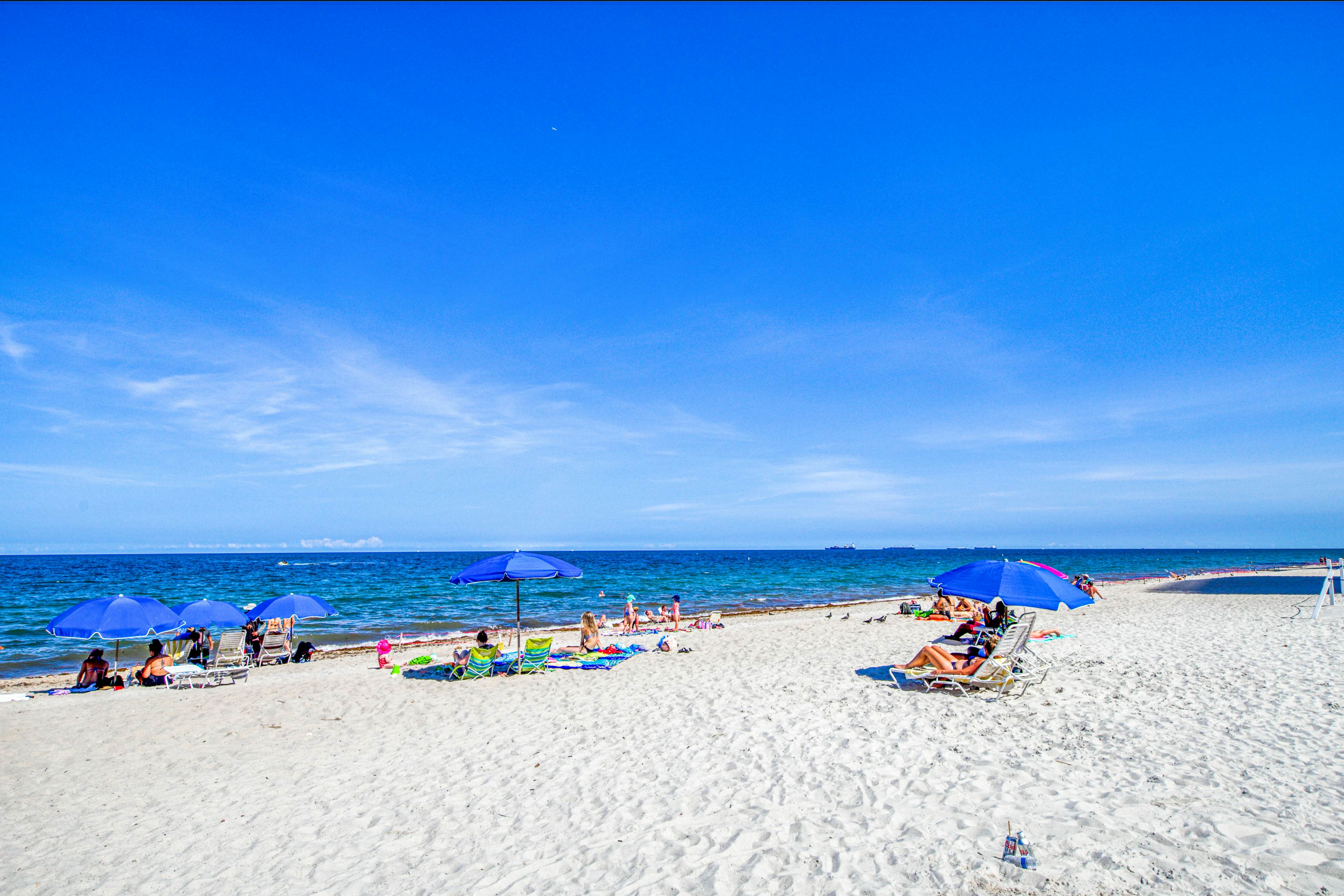 Perfect Panorama - #905A