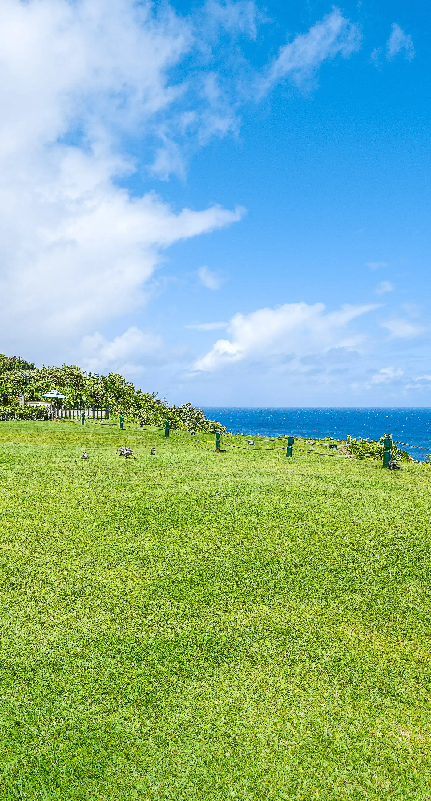 Panoramic Ocean Views at Pu'u Poa 212