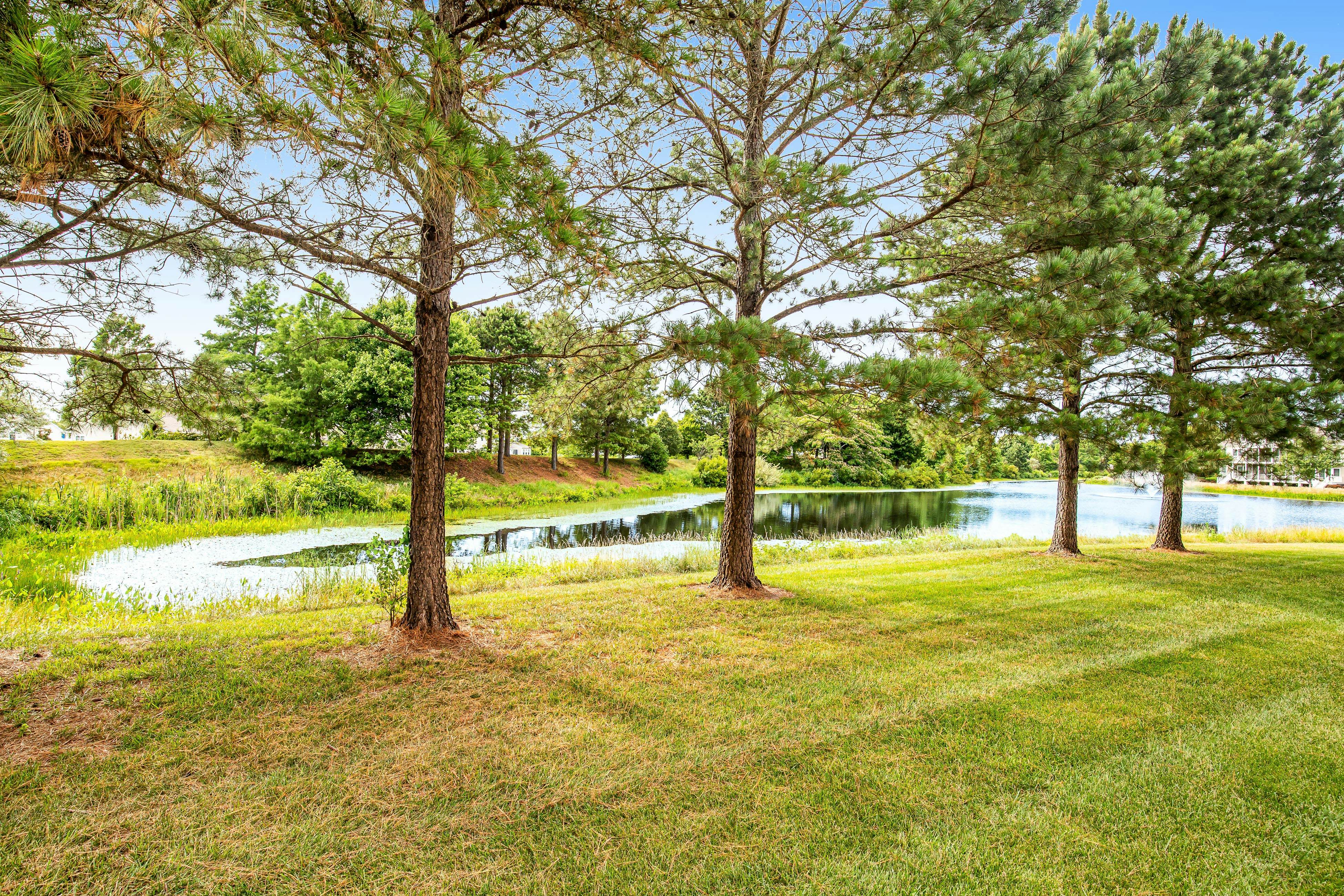 Bear Trap Dunes - 16 Sycamore St