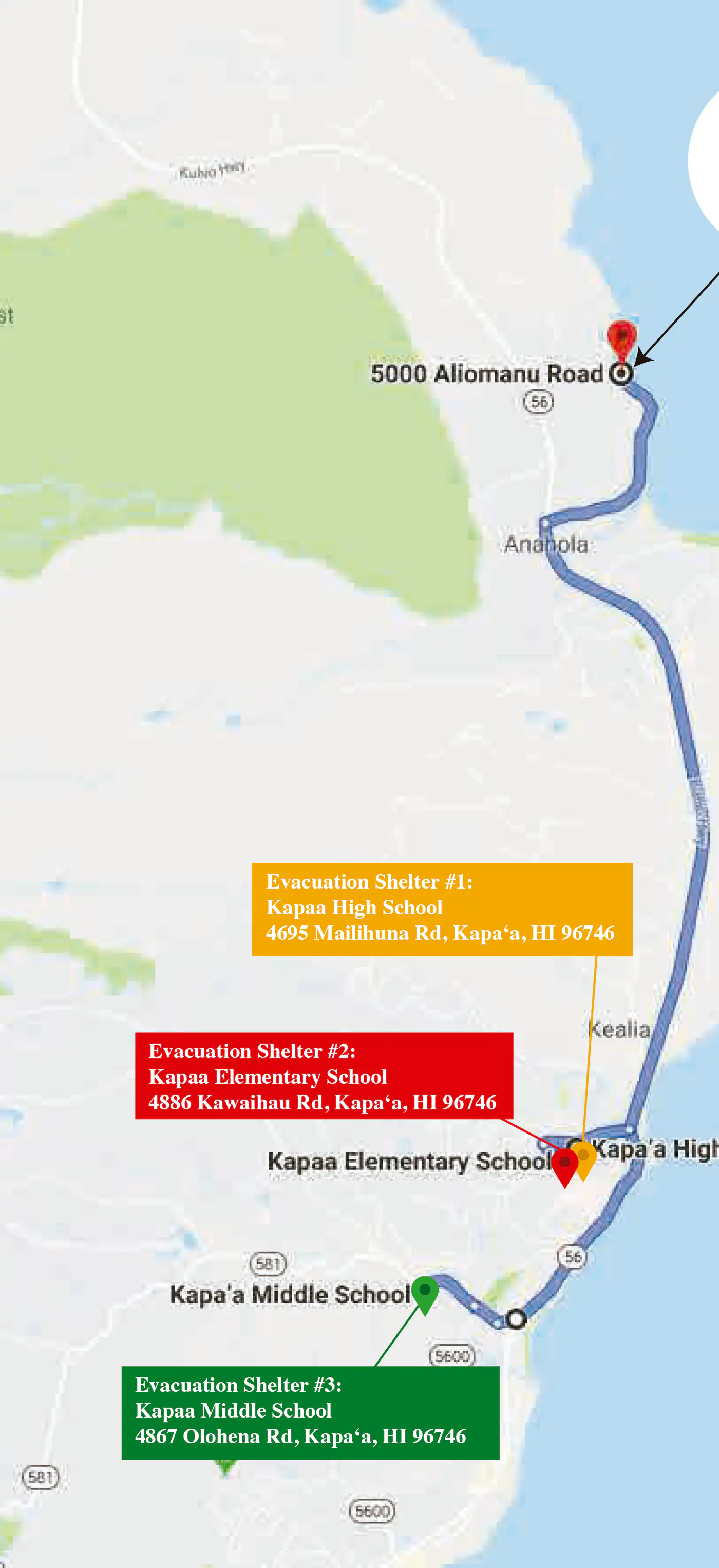 Sandcastles TVNCU#1305
