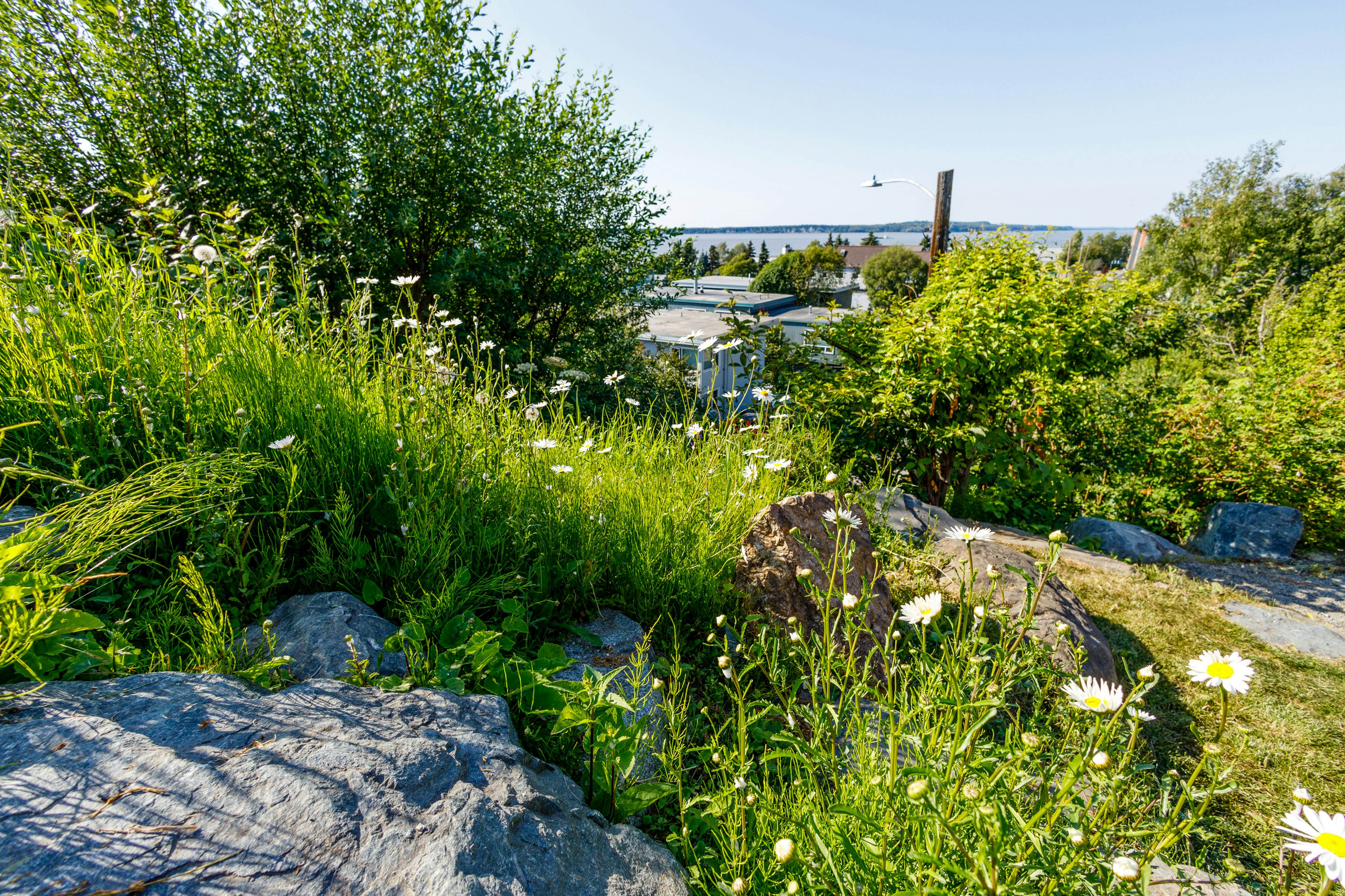 Sleeping Lady Luxury Retreat