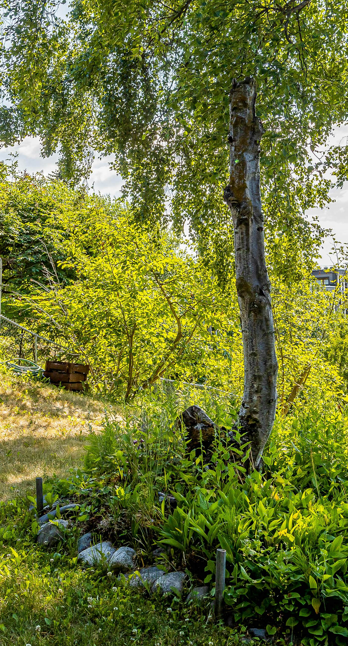 Captain Cook's Luxury Coastal Condo