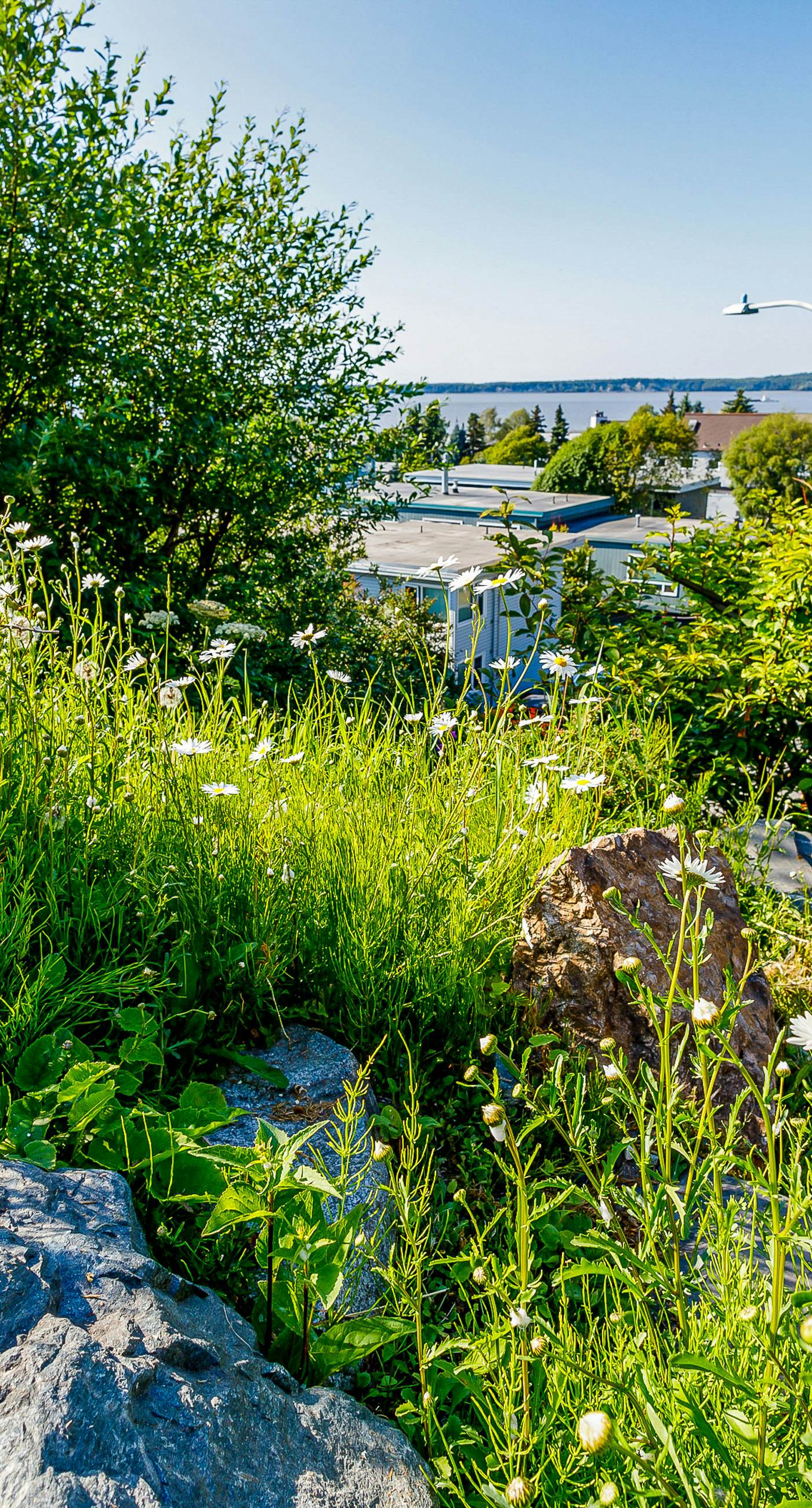 Captain Cook's Luxury Coastal Condo