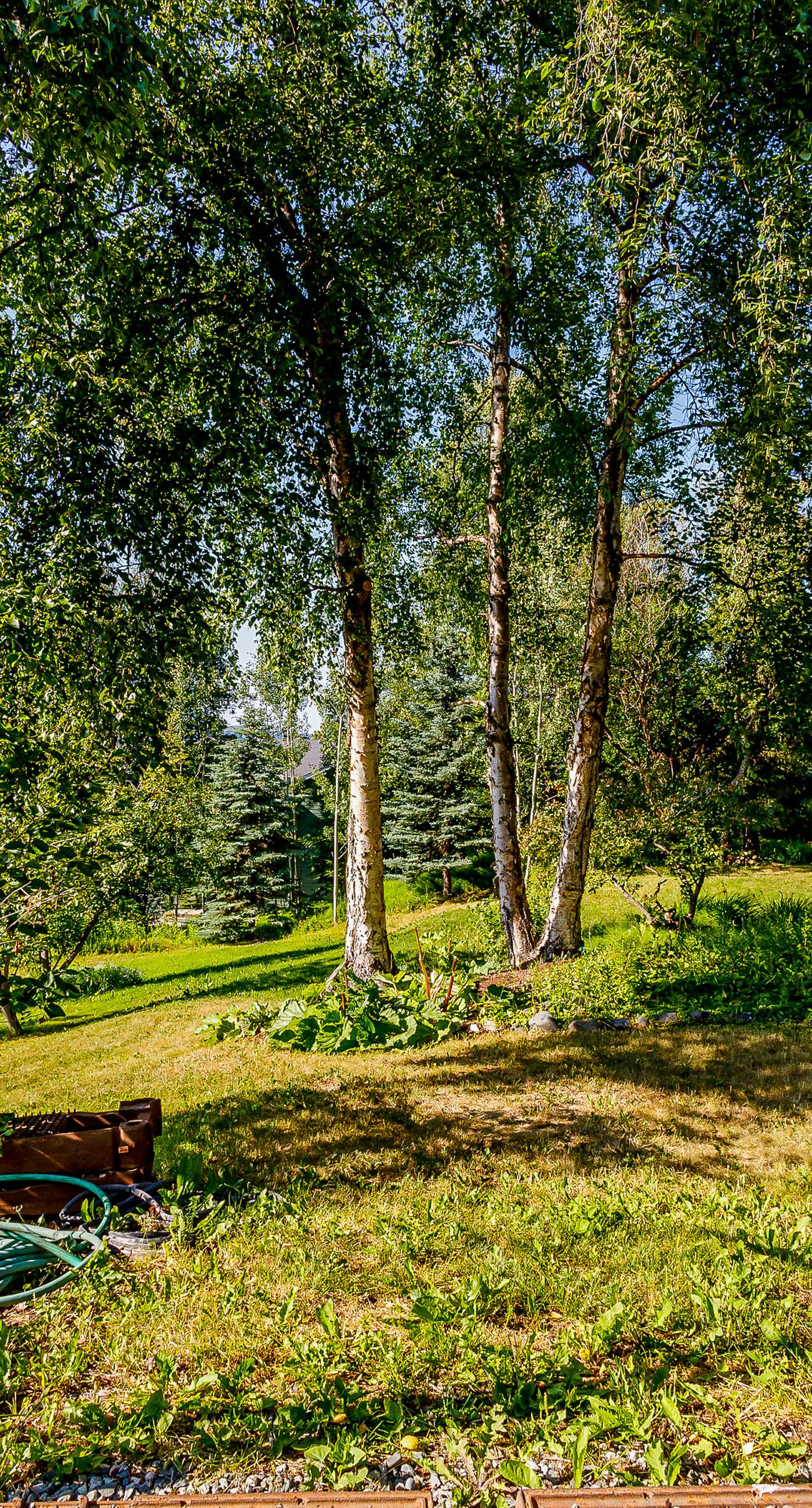 Captain Cook's Luxury Coastal Condo