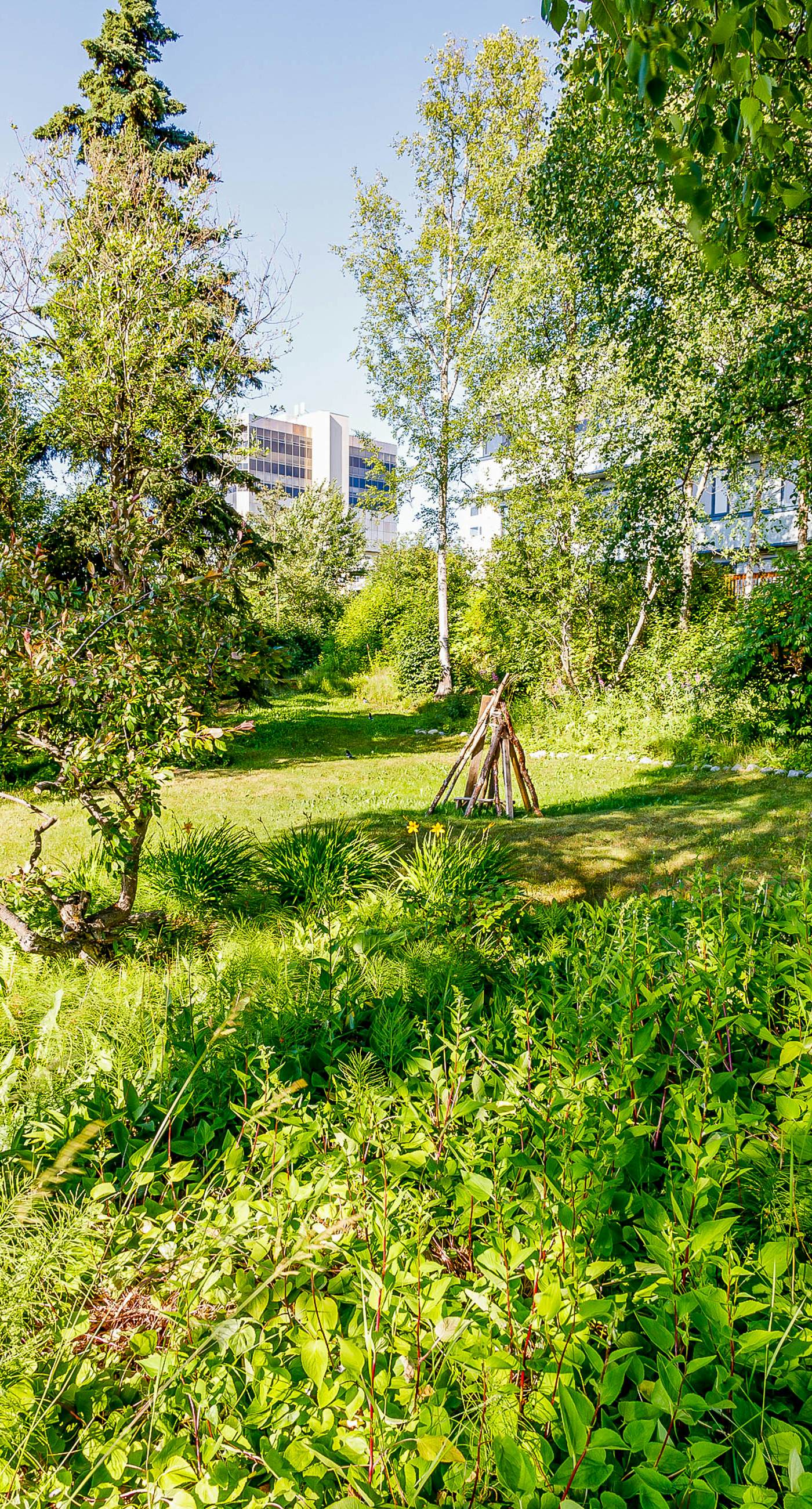 Captain Cook's Luxury Coastal Condo