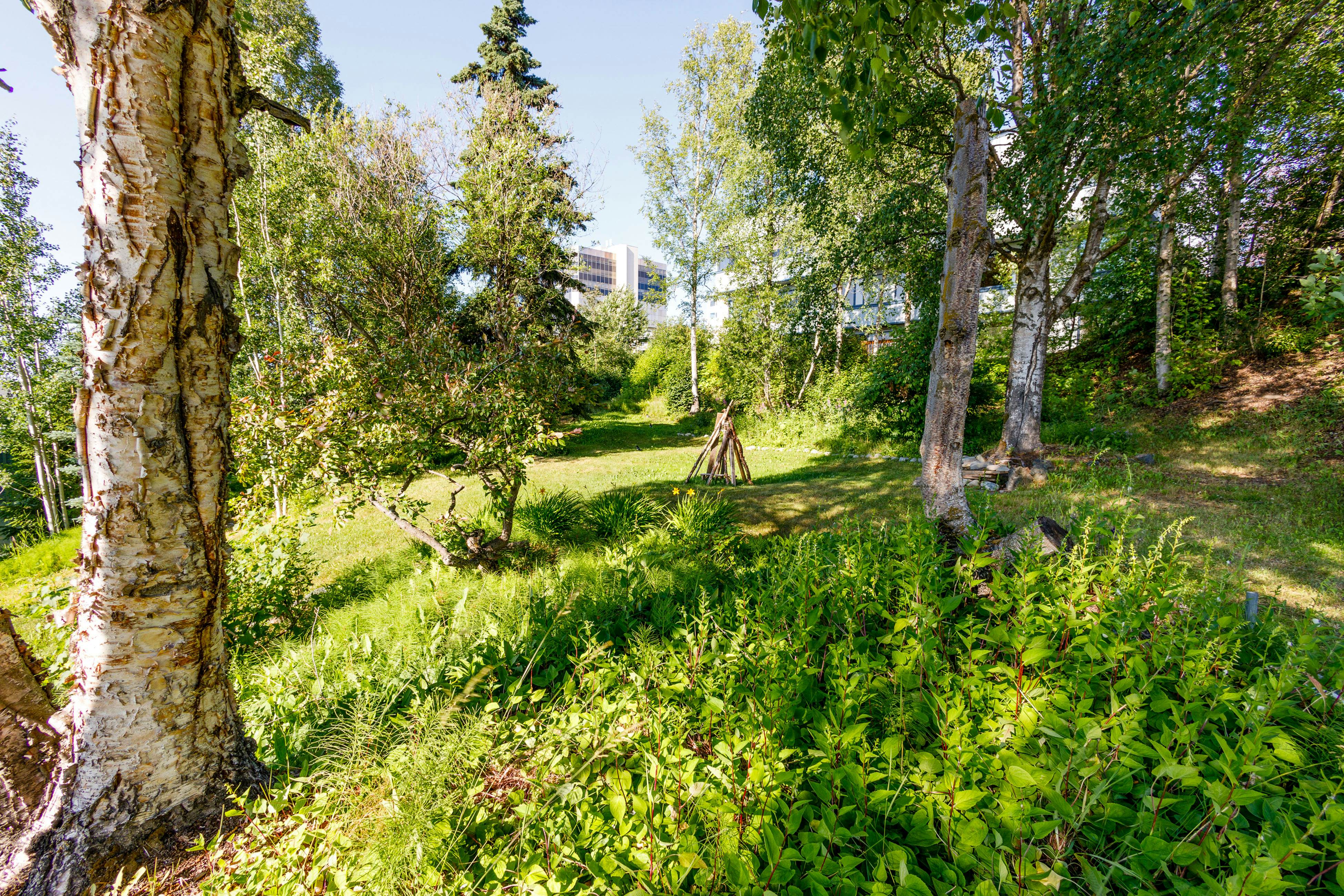 Downtown Contemporary - Full Property