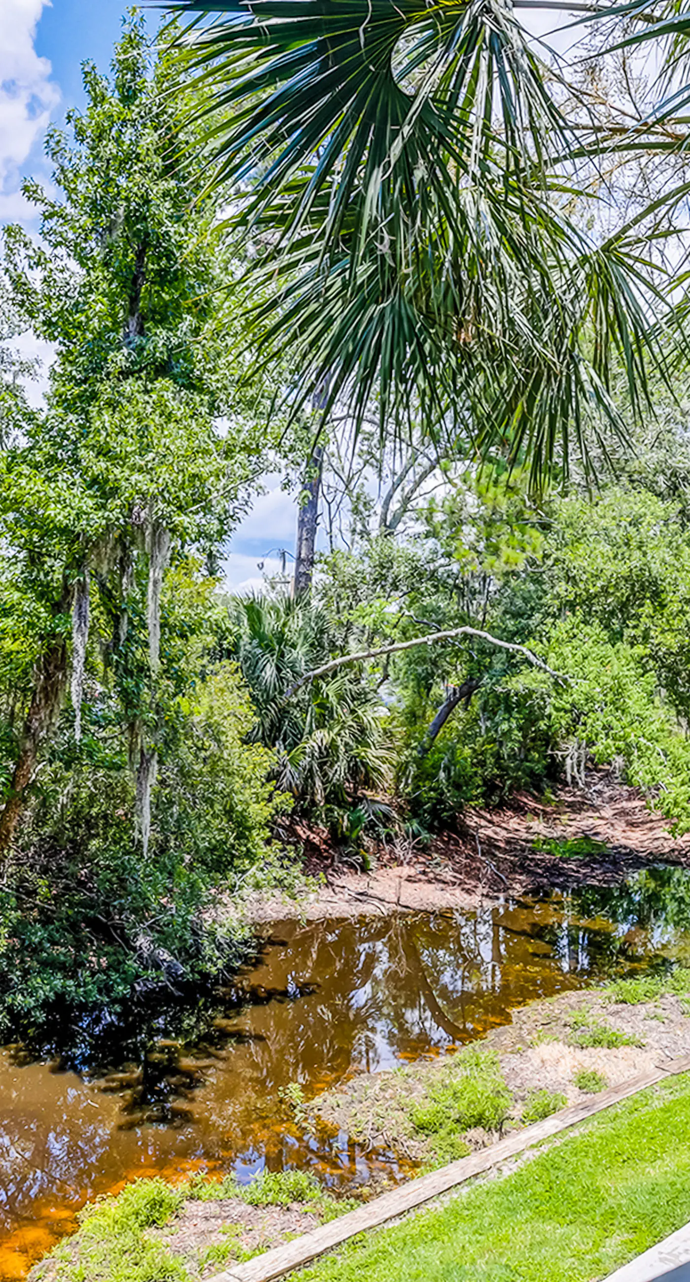 Forest Beach Villas 101