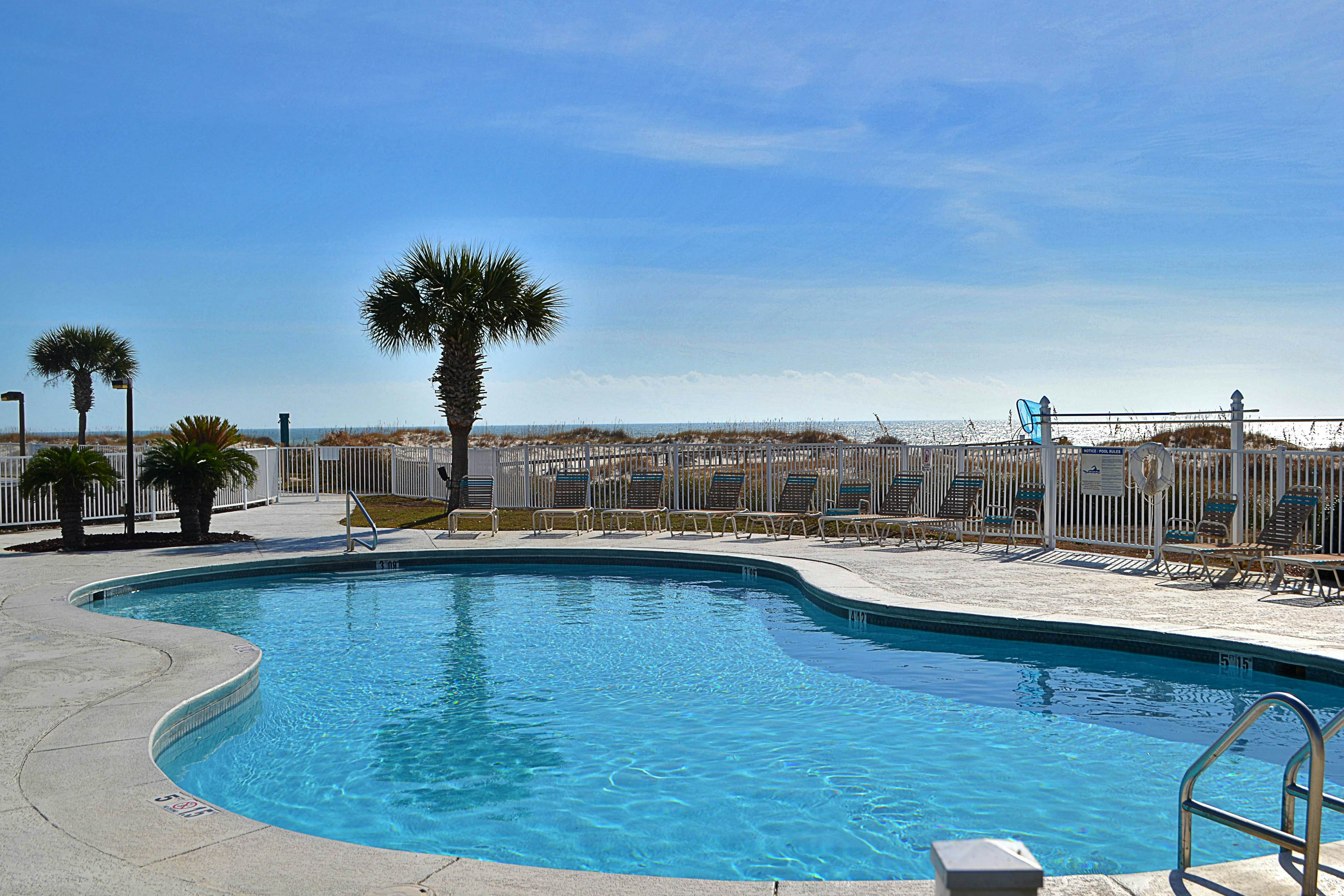 Plantation Palms #6305