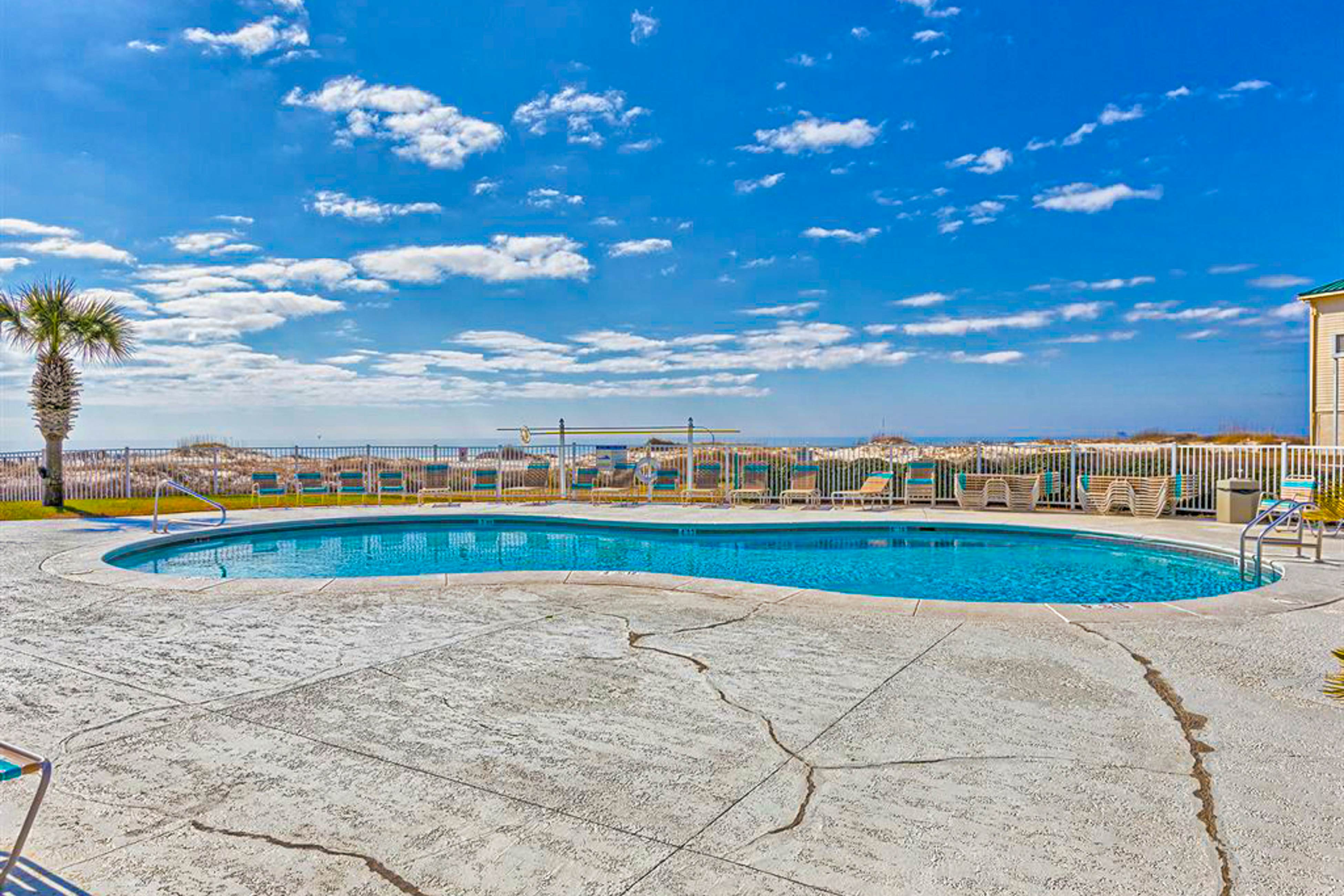 Plantation Palms #6305