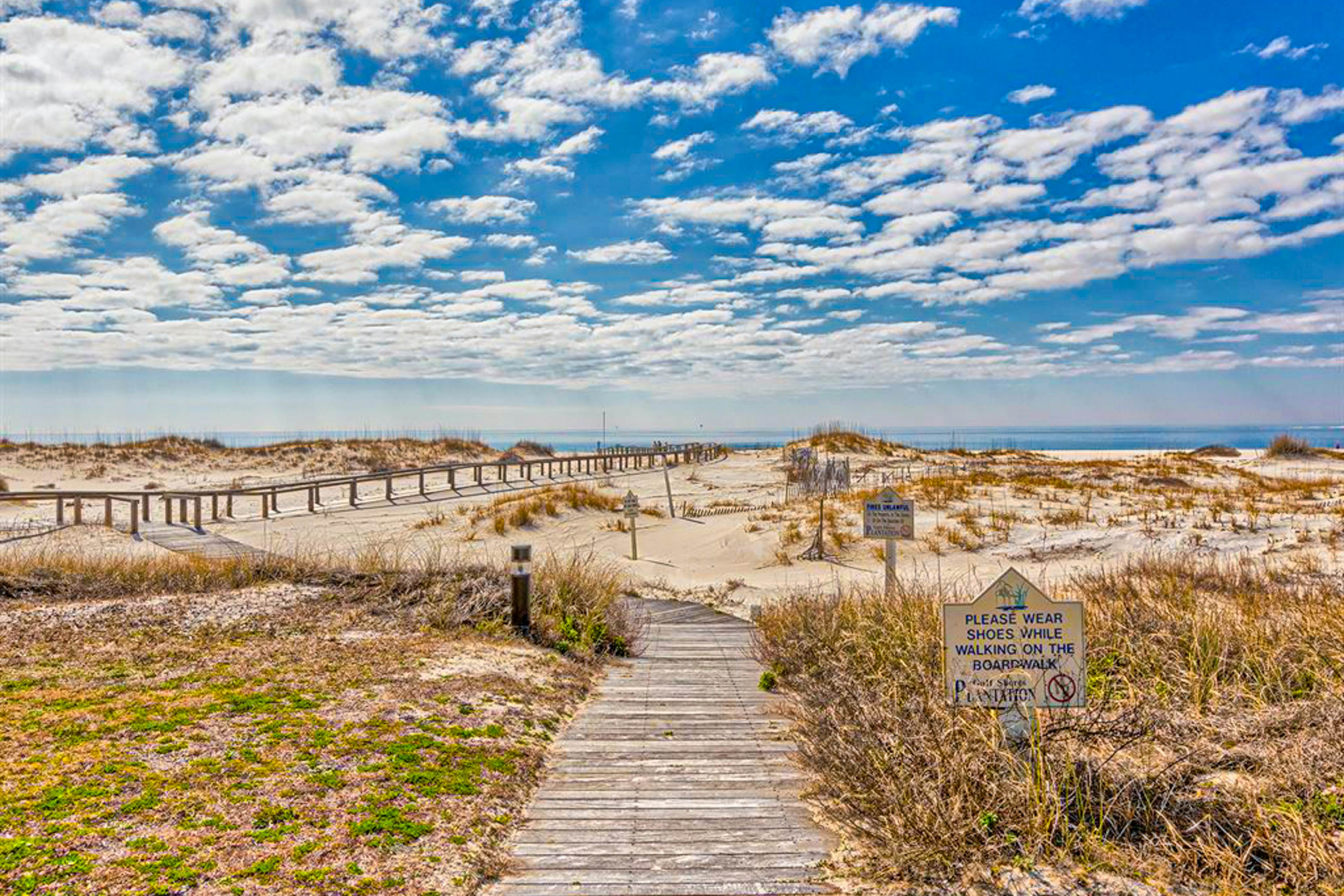 Plantation Palms #6305