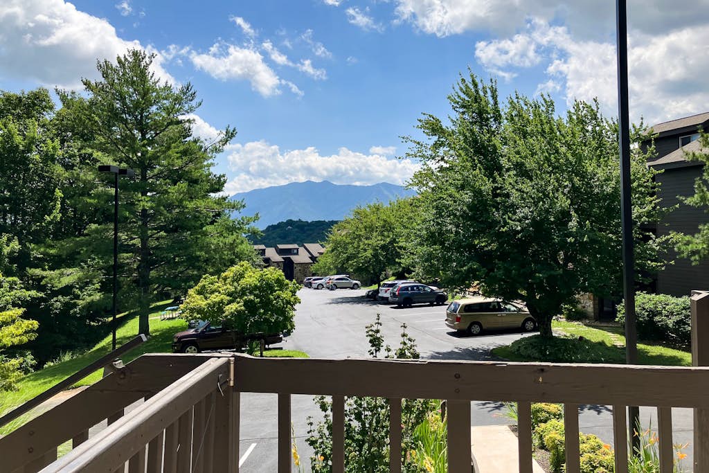 View 5
