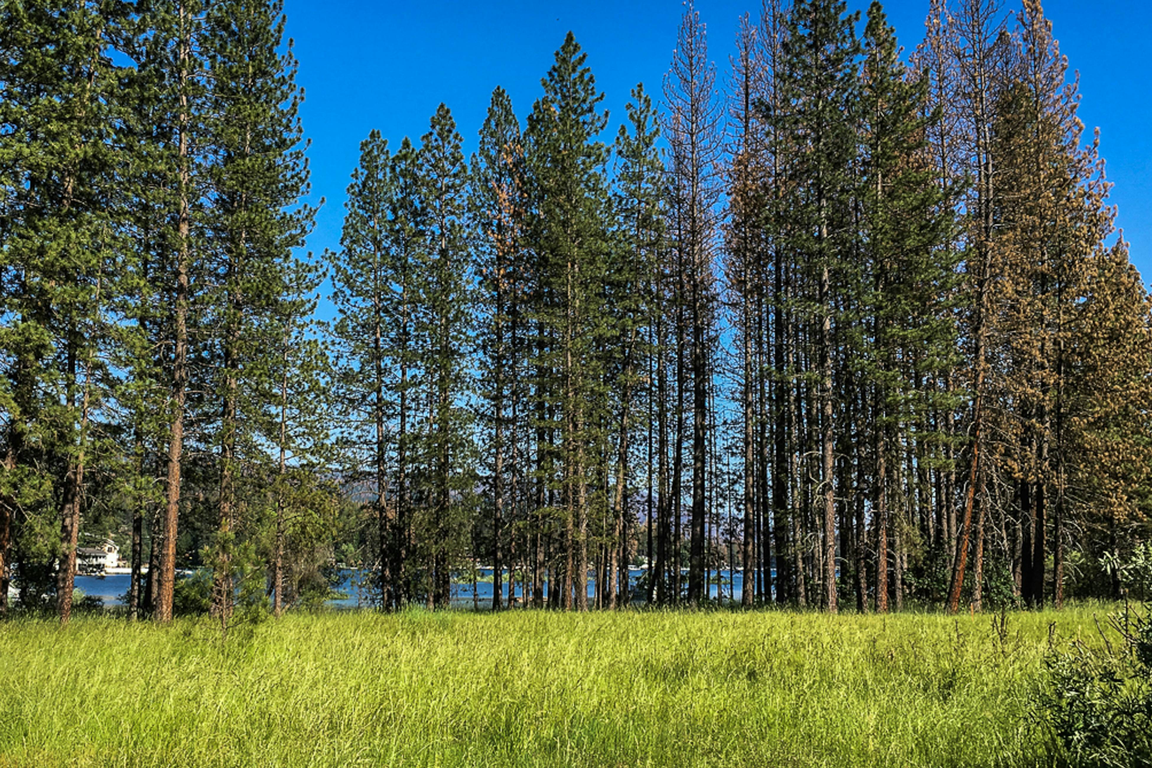 Northshore Lakeview Getaway