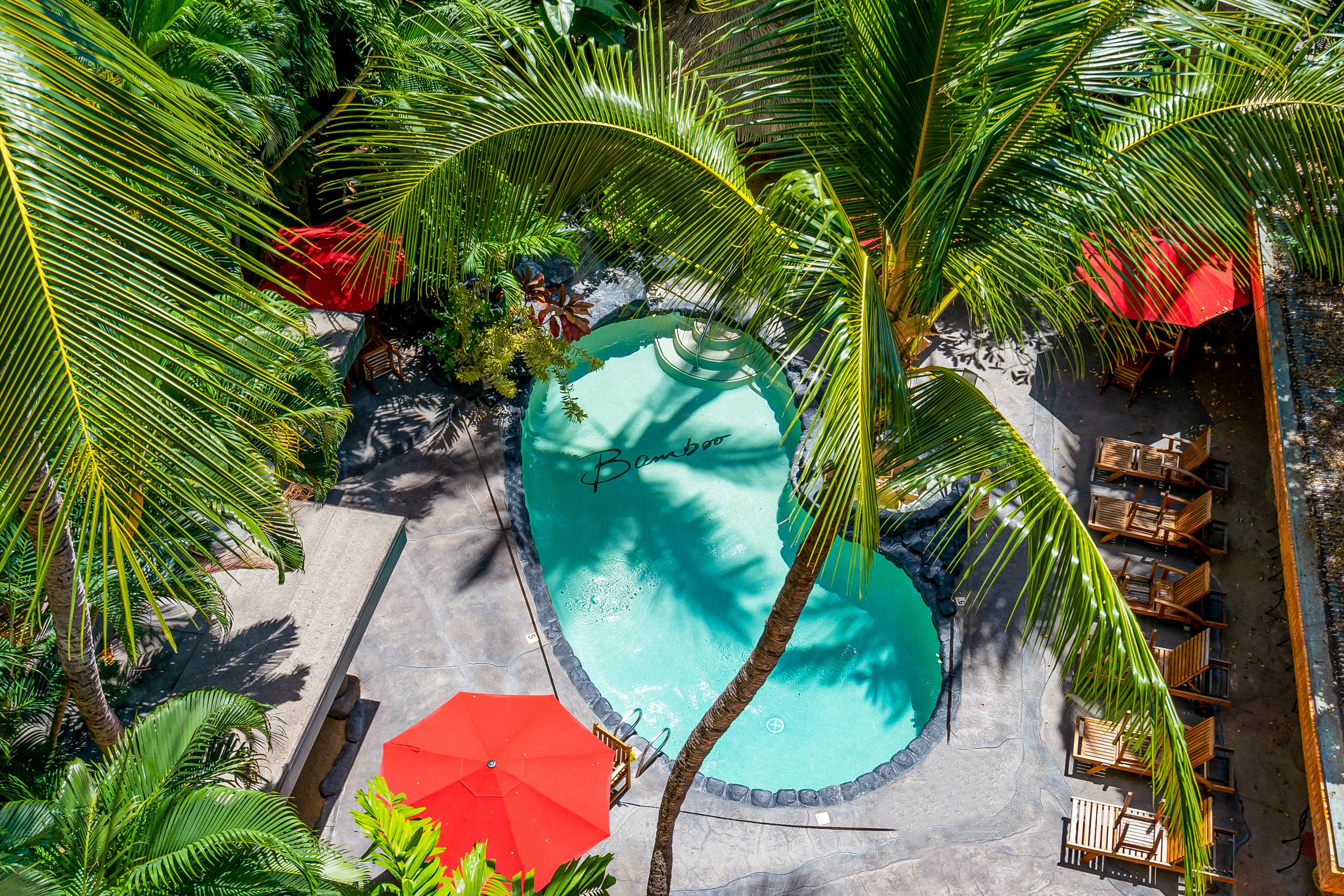 The Bamboo Oasis at Bamboo Waikiki #307