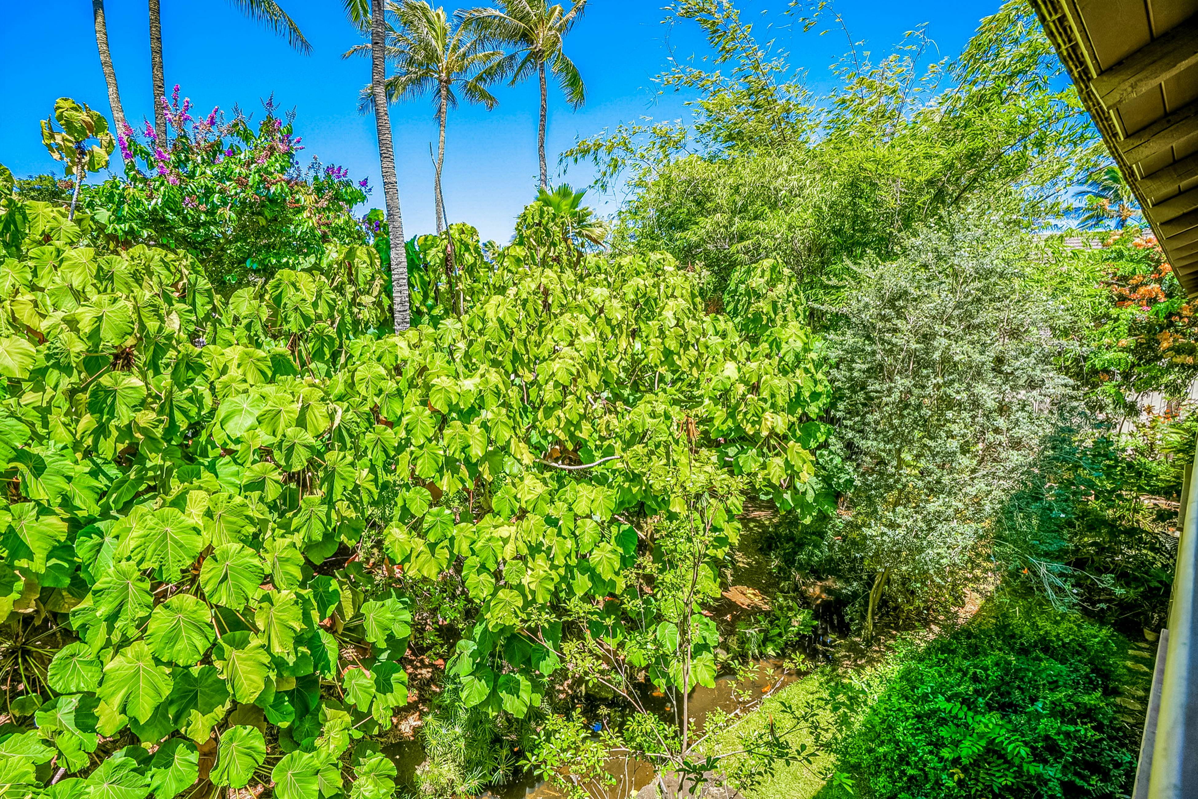 Waikomo Stream Villas 132