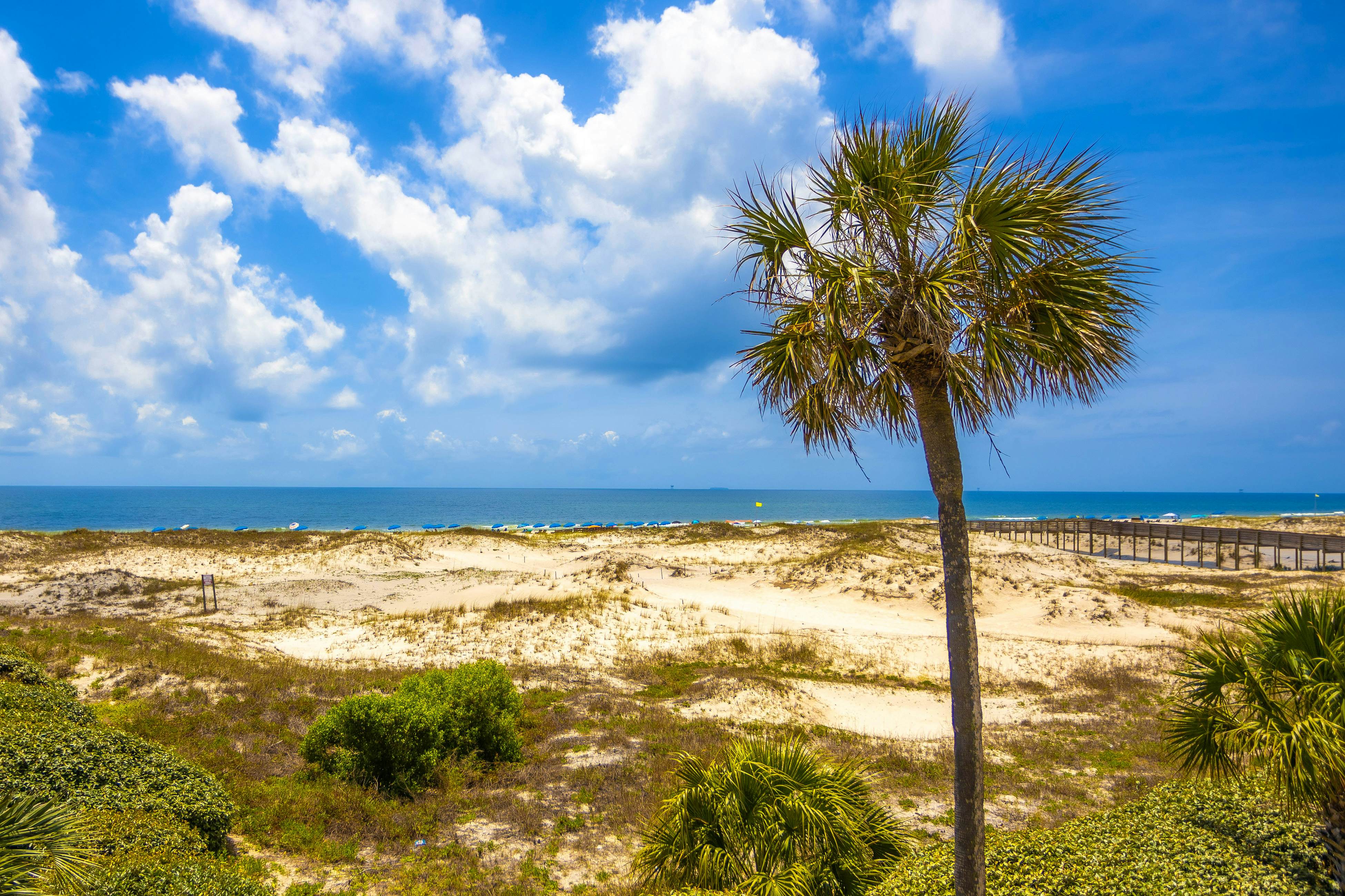 Plantation East #3117