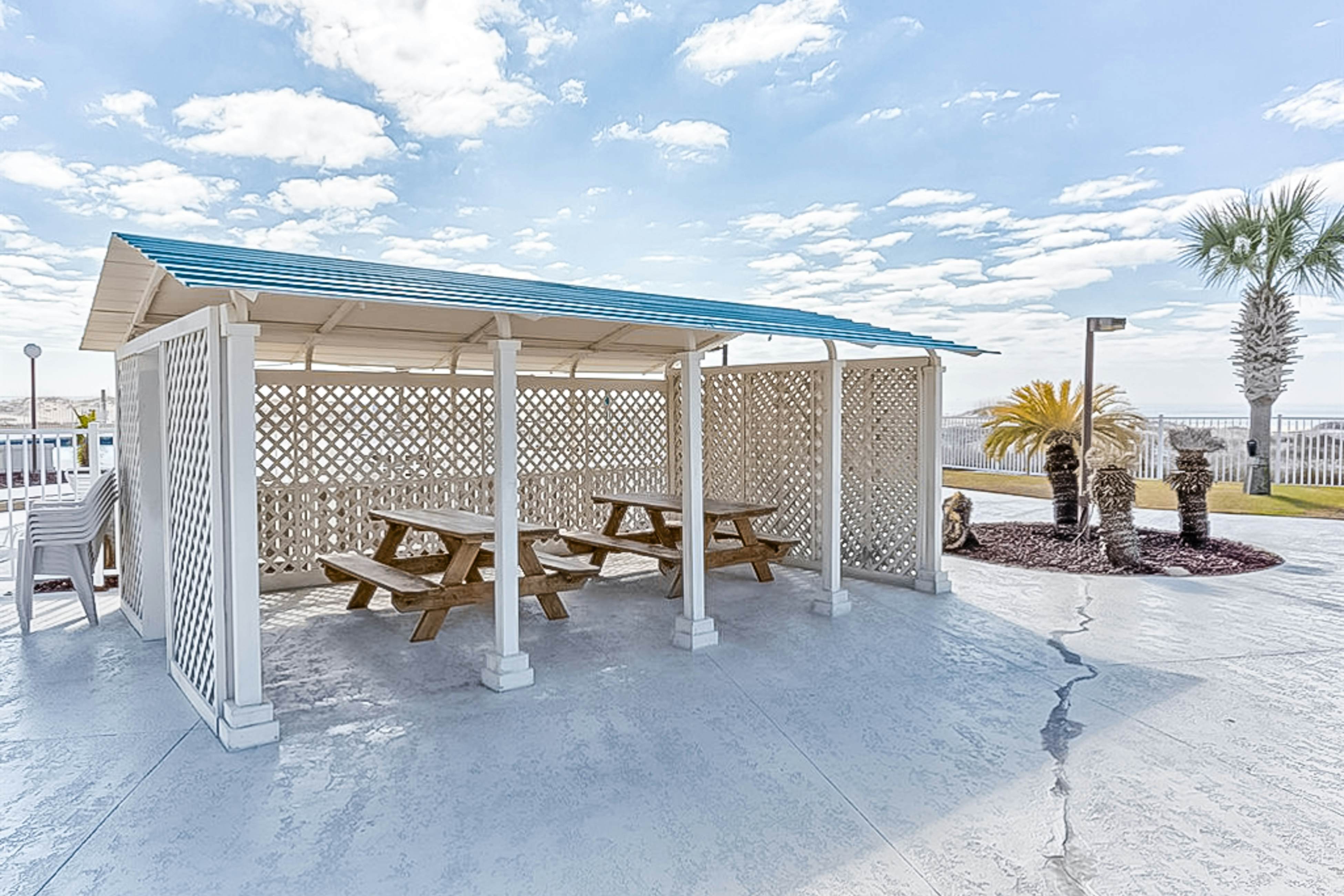 Plantation Palms #6604