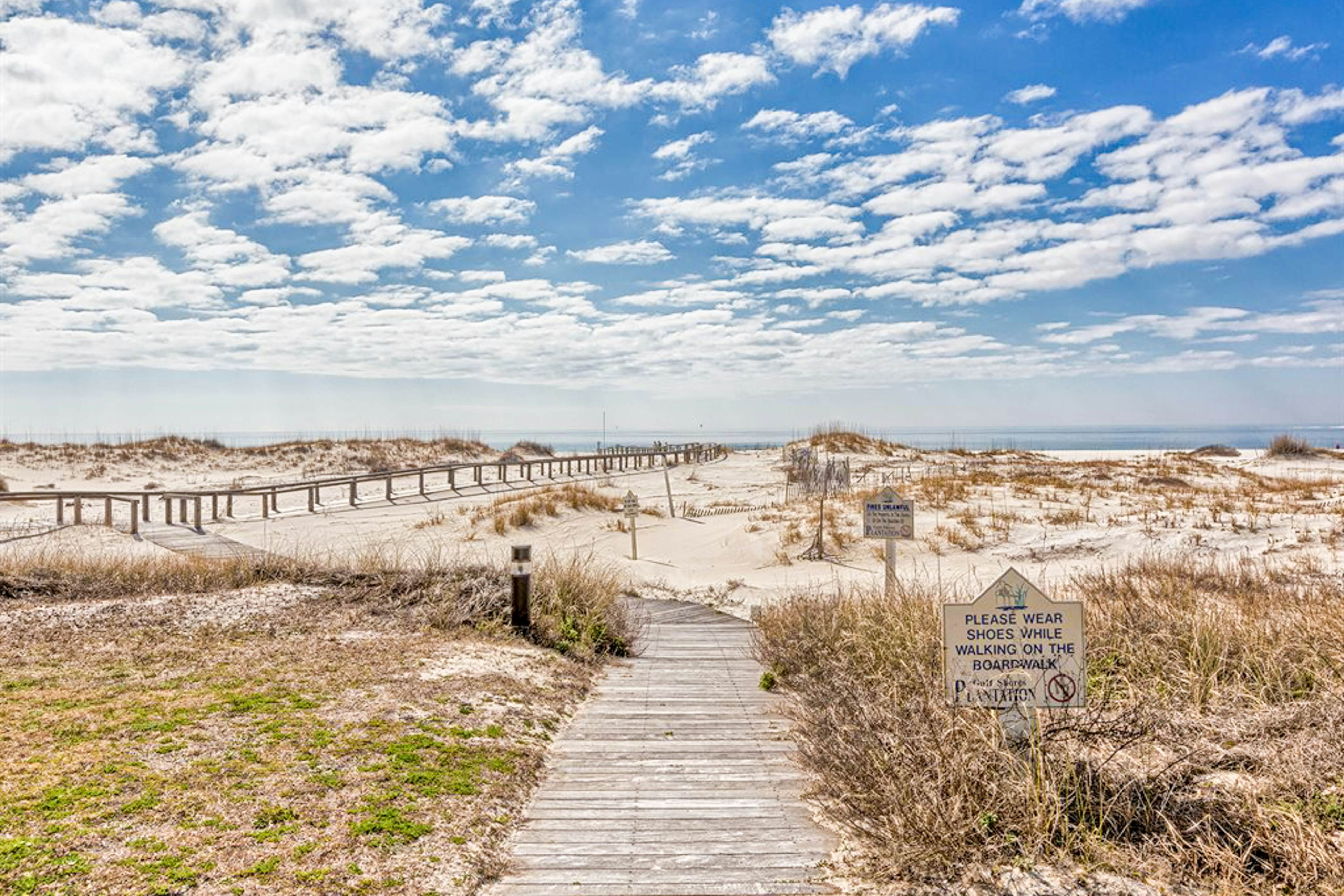 Plantation Palms #6604