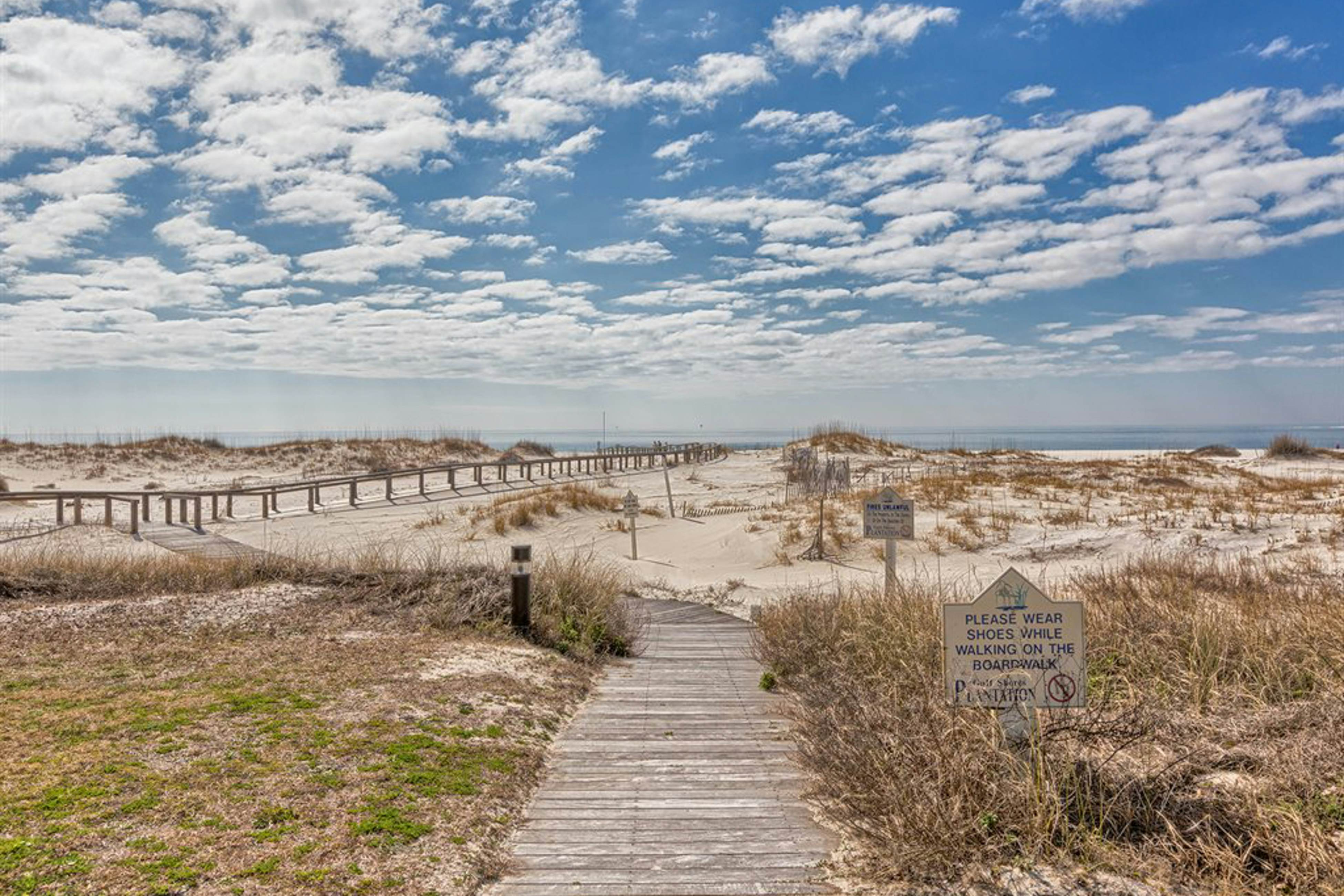 Plantation Palms #6604