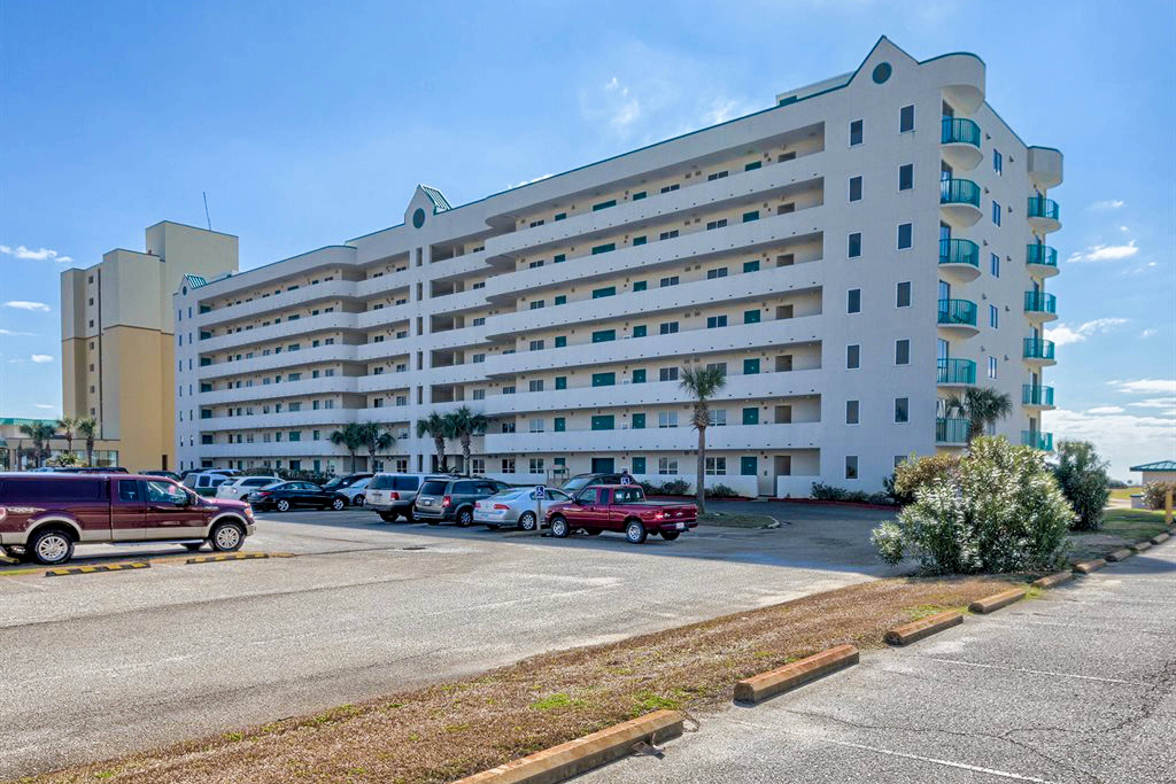 Plantation Palms #6604