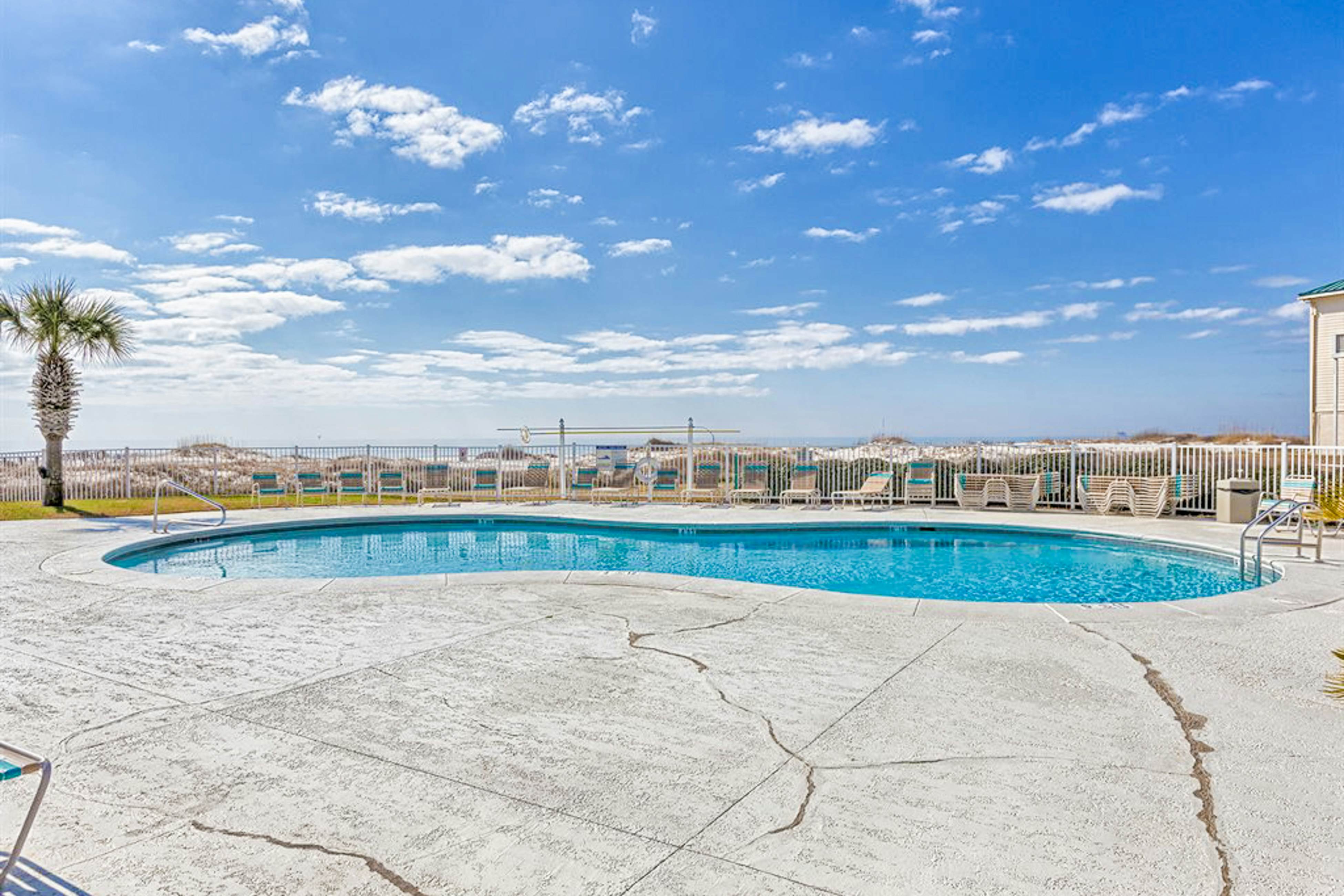 Plantation Palms #6604