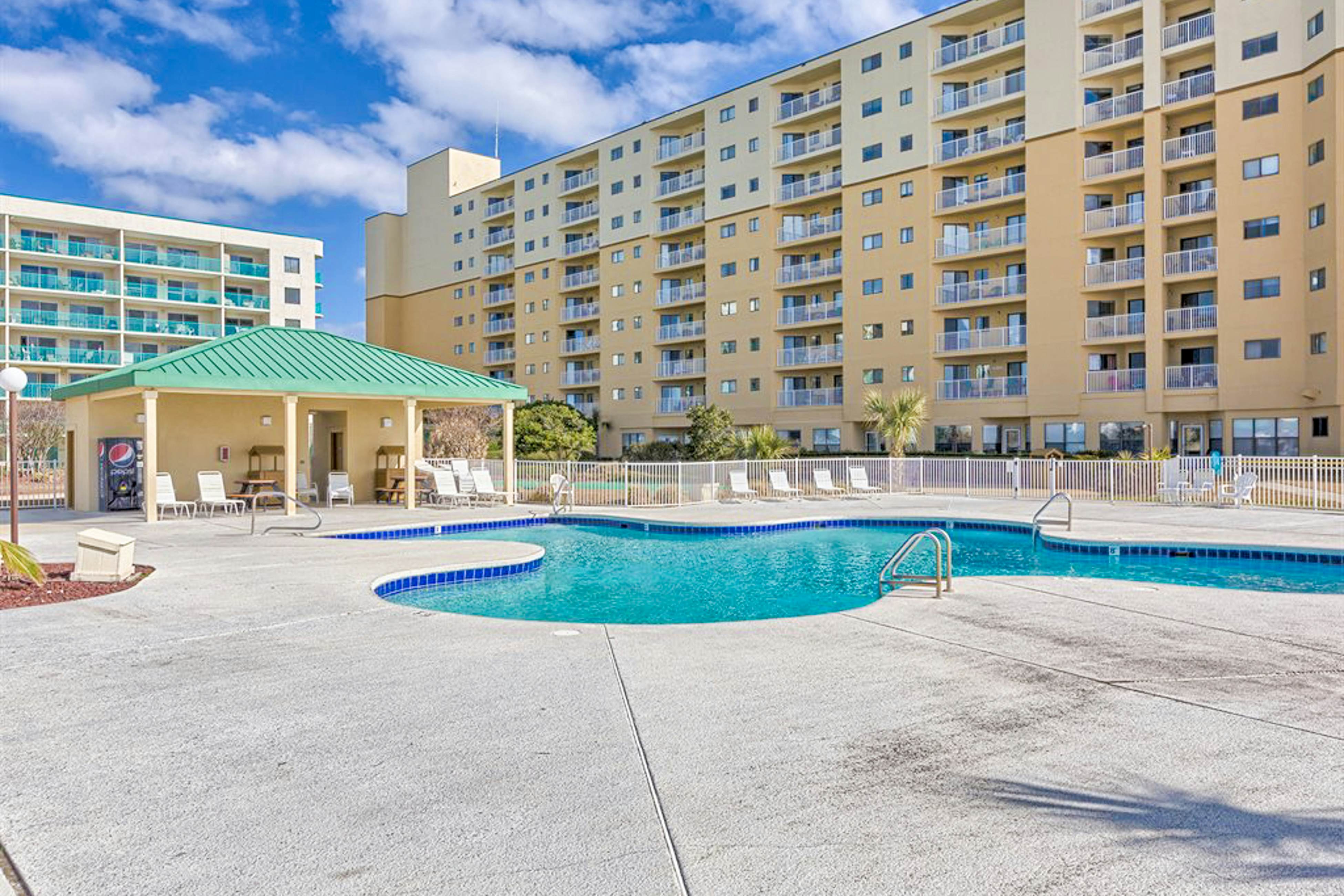 Plantation Palms #6604