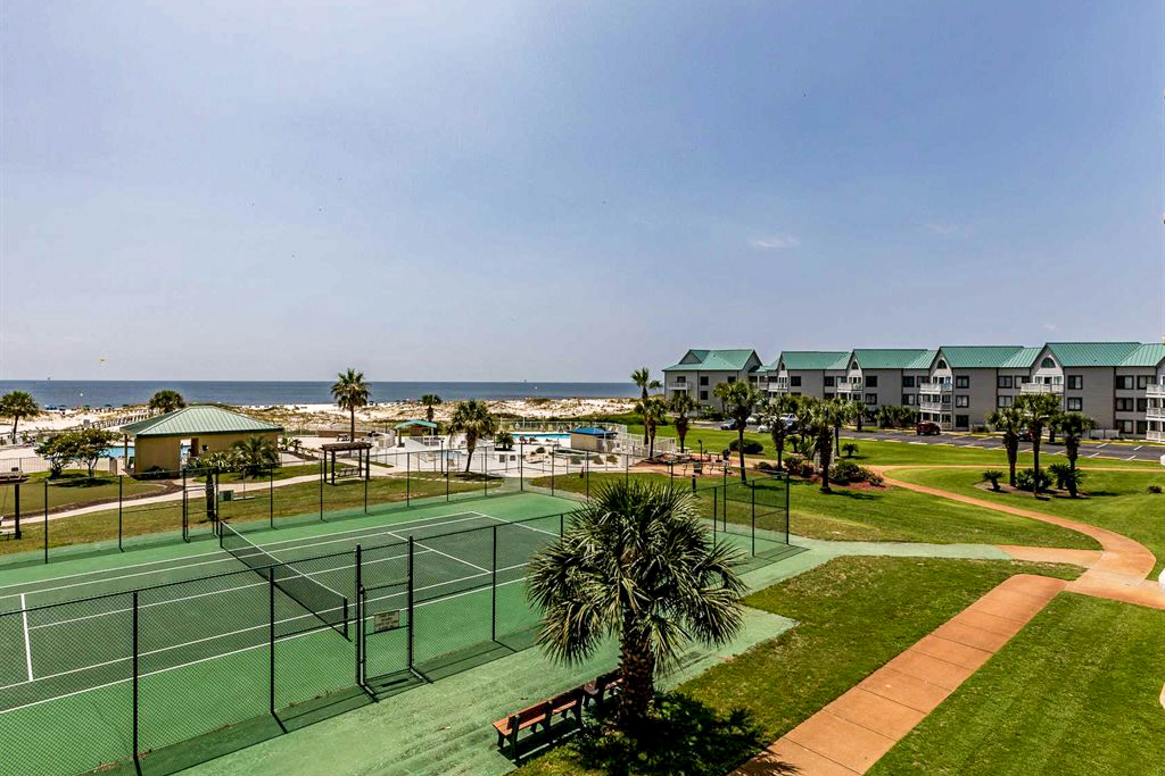 Plantation Palms #6604