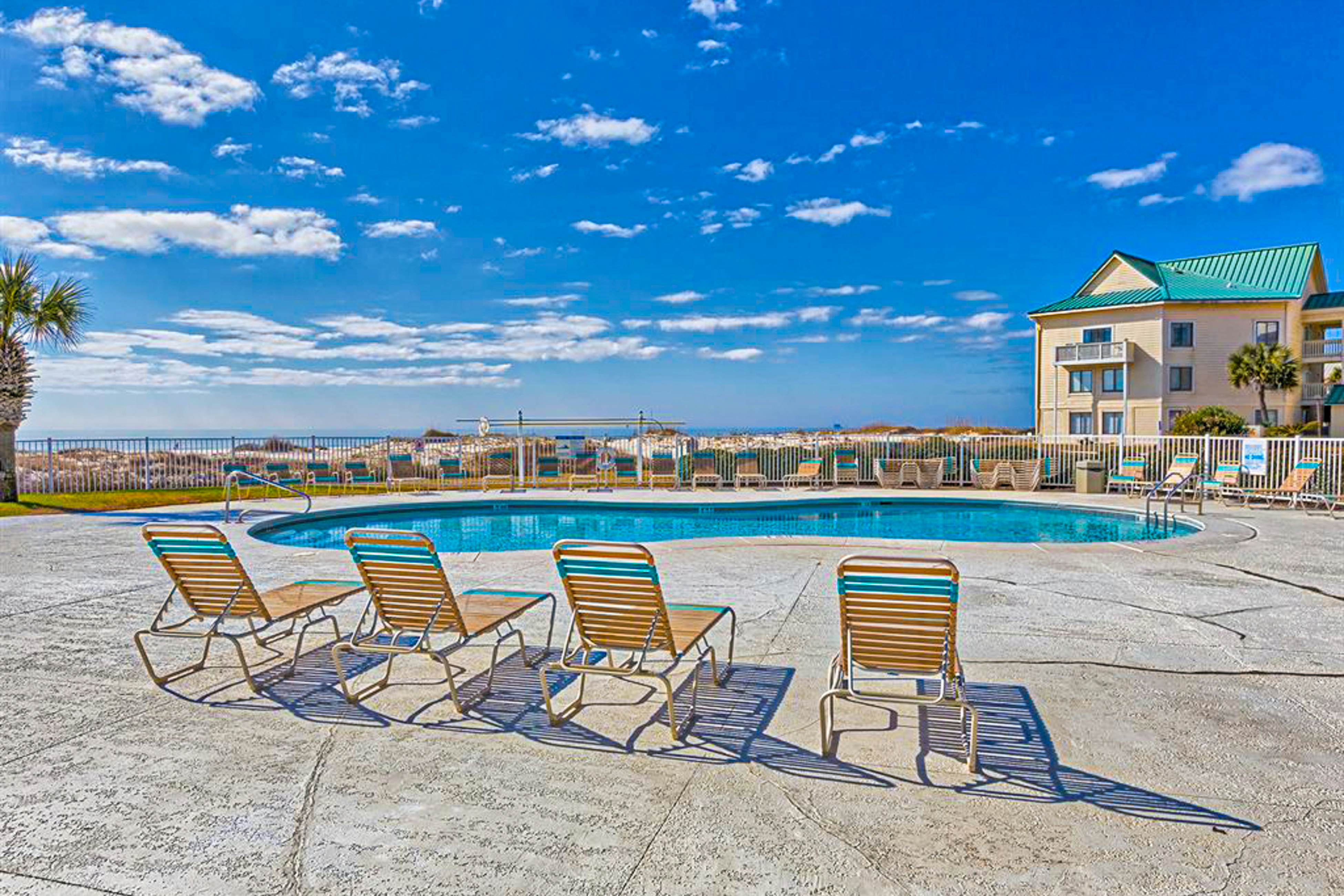 Plantation Palms #6604