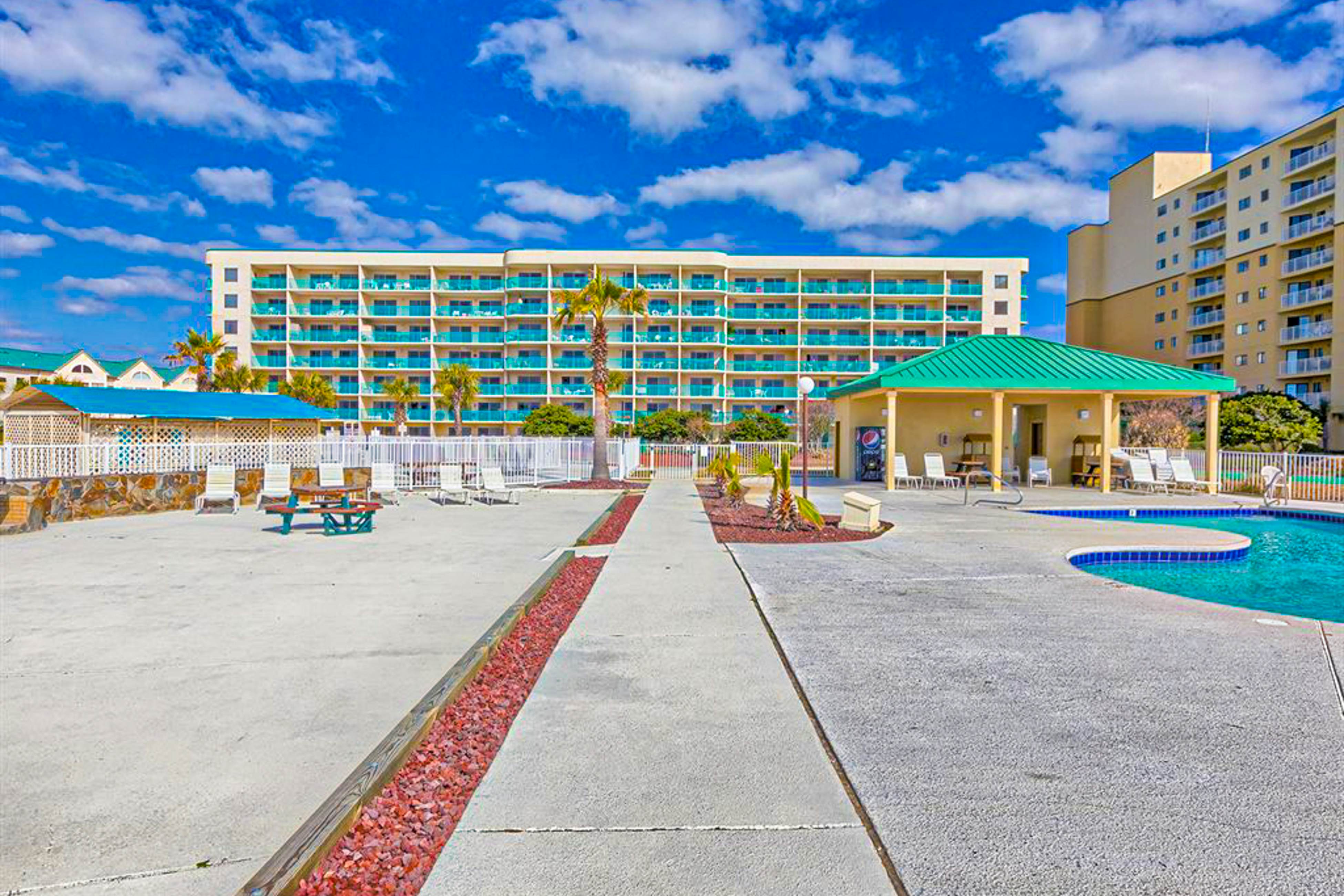 Plantation Palms #6604