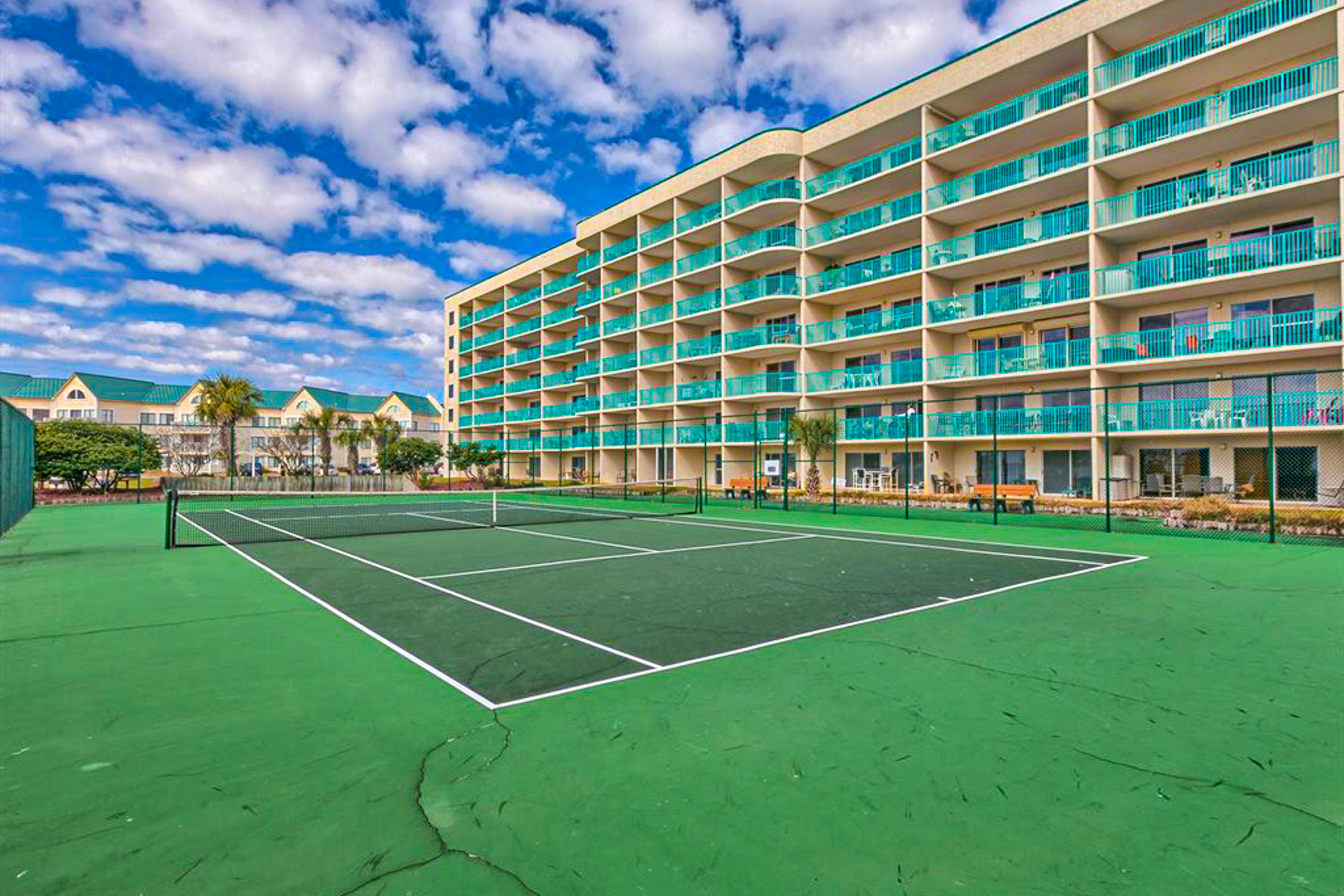 Plantation Palms #6604