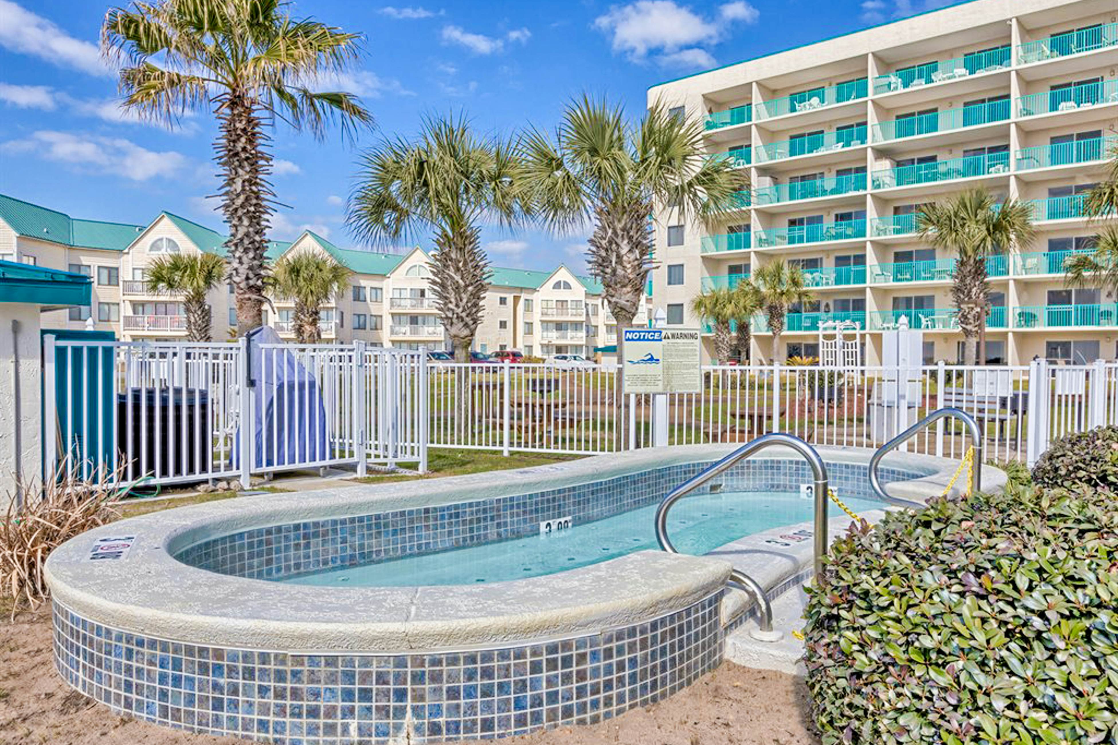 Plantation Palms #6604