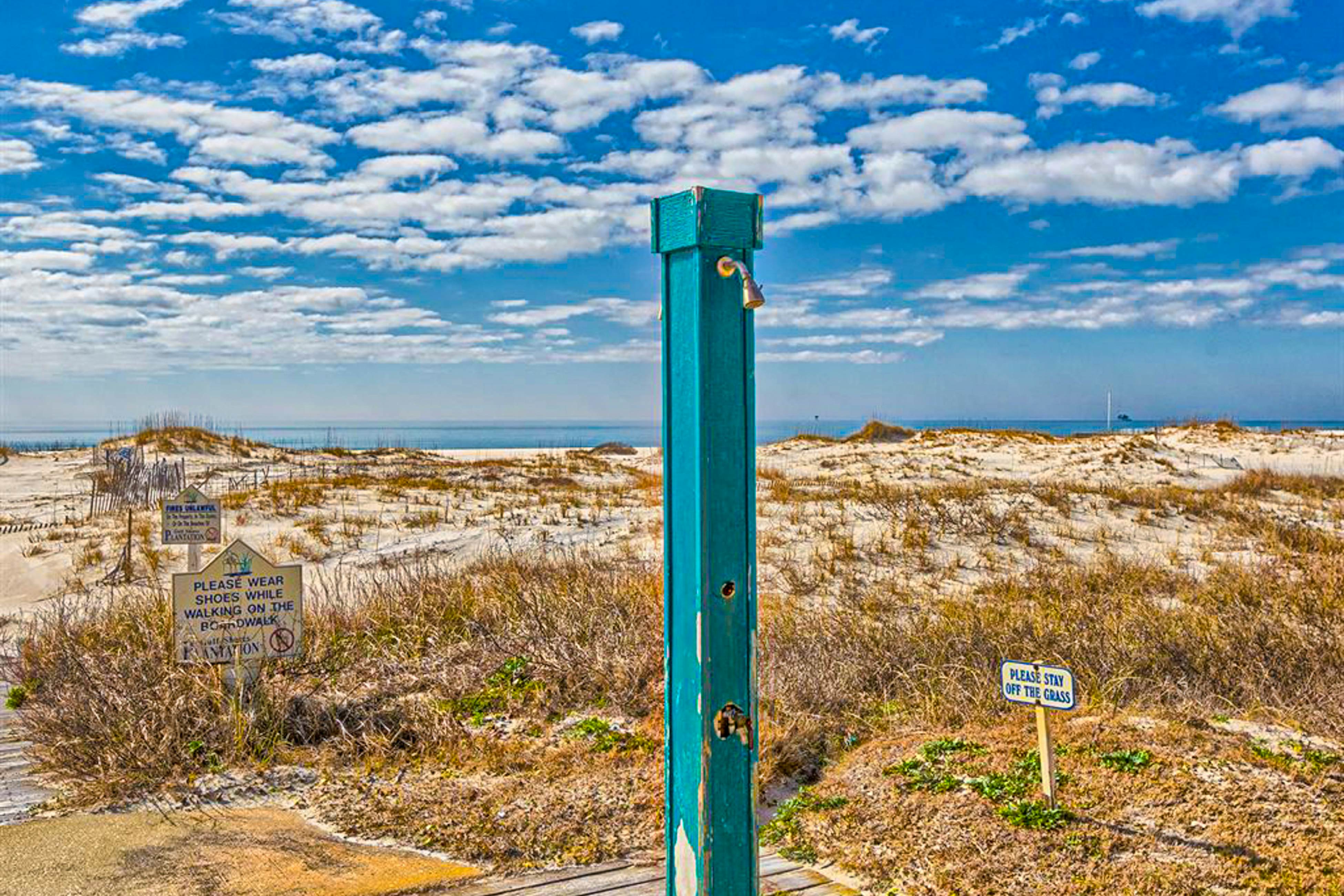 Plantation Palms #6604