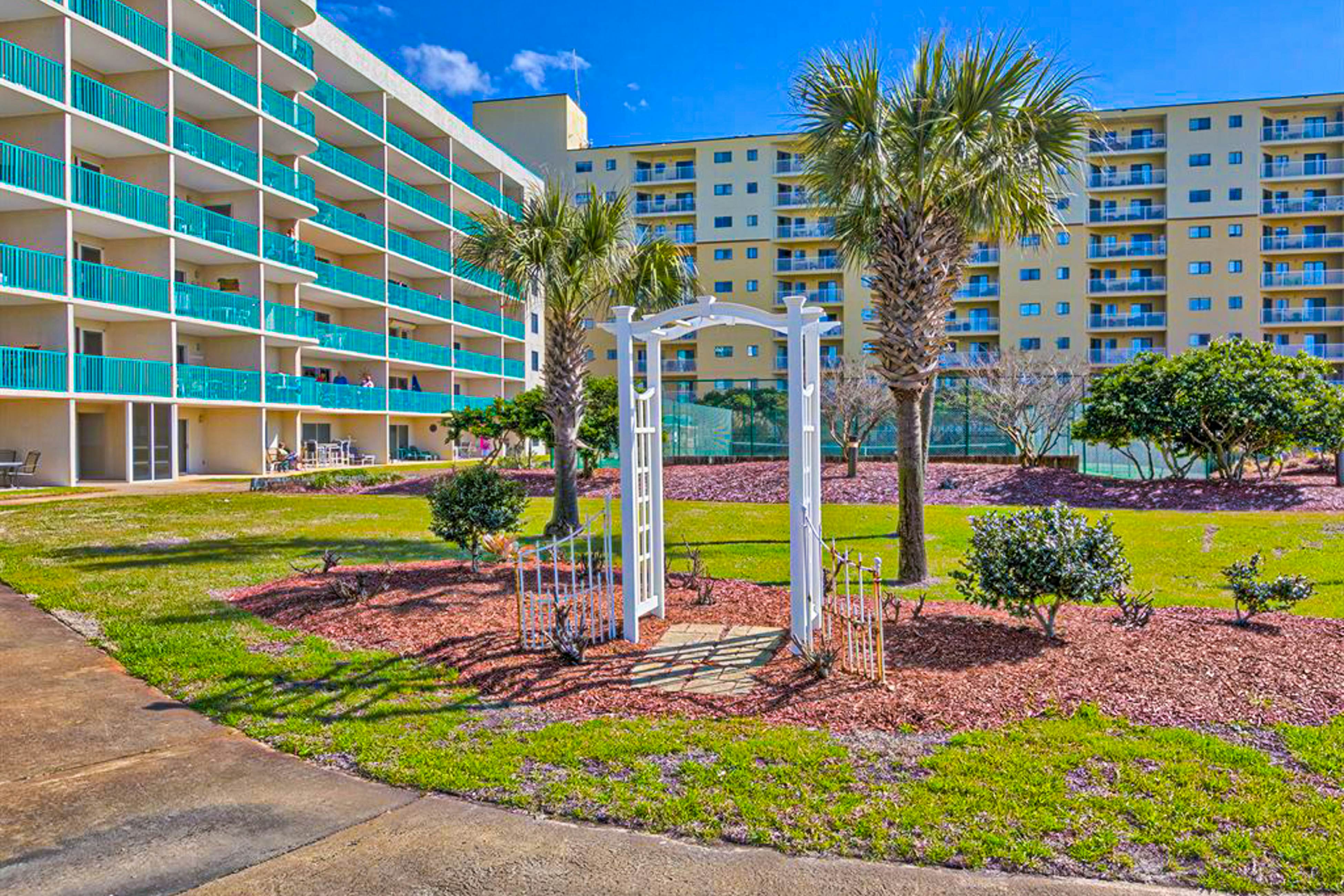 Plantation Palms #6604