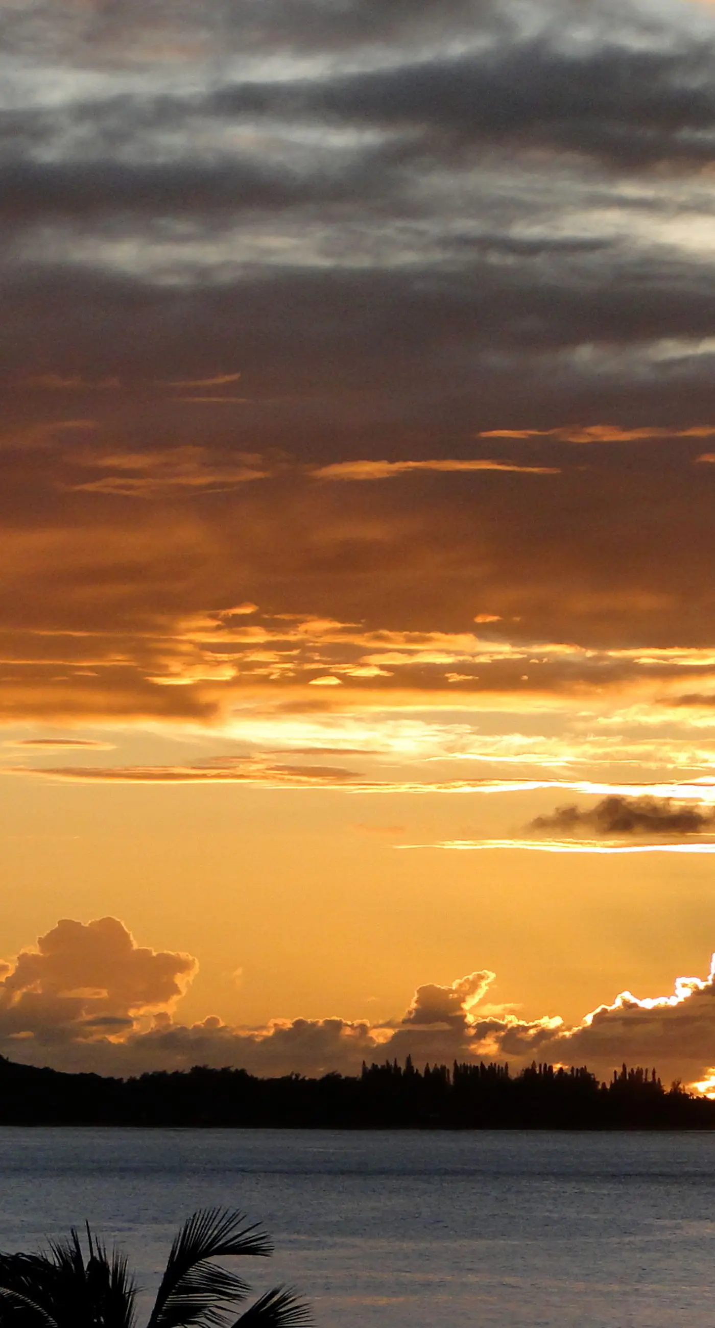 Hanalei Bay Resort 2302