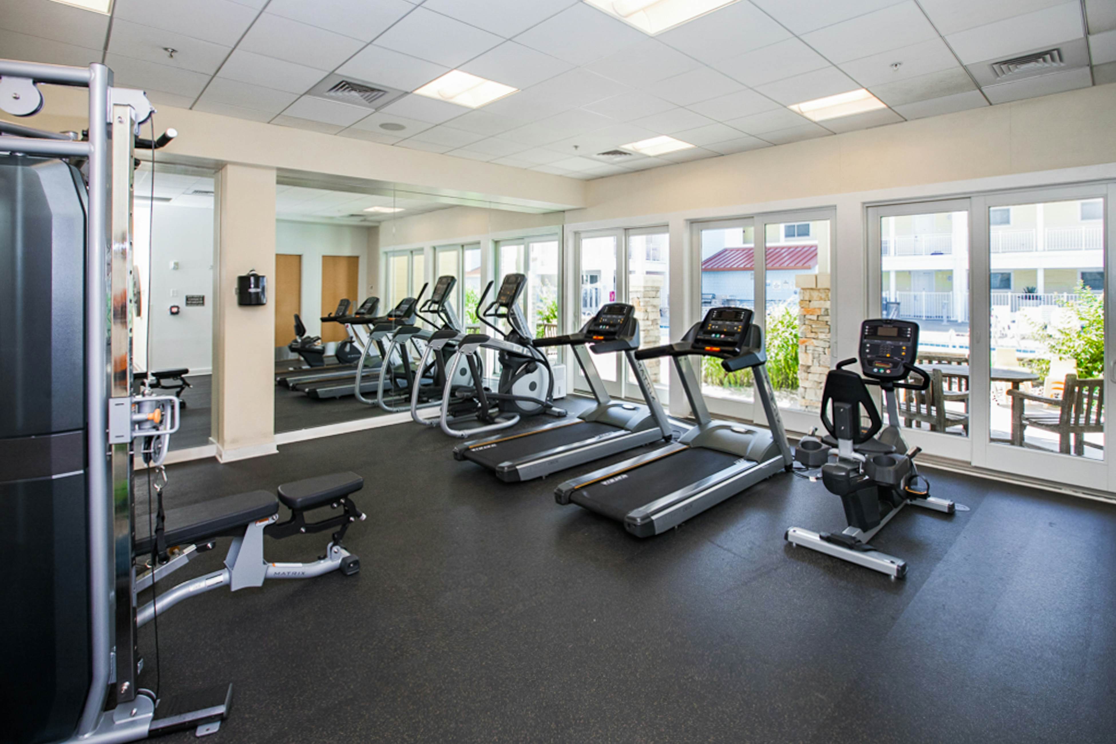 The Sanctuary - Serenity Now A203