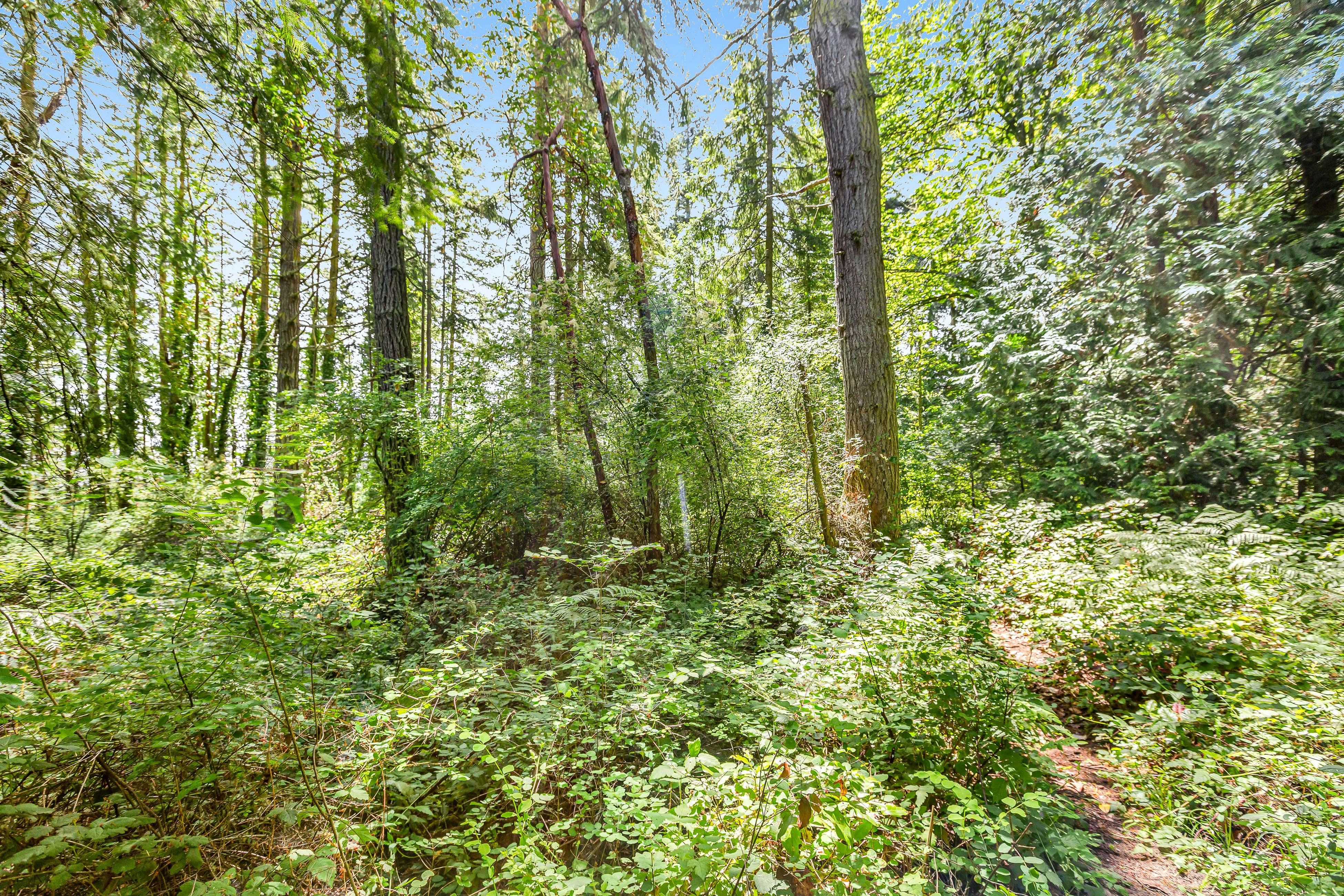 Port Townsend Kala Point