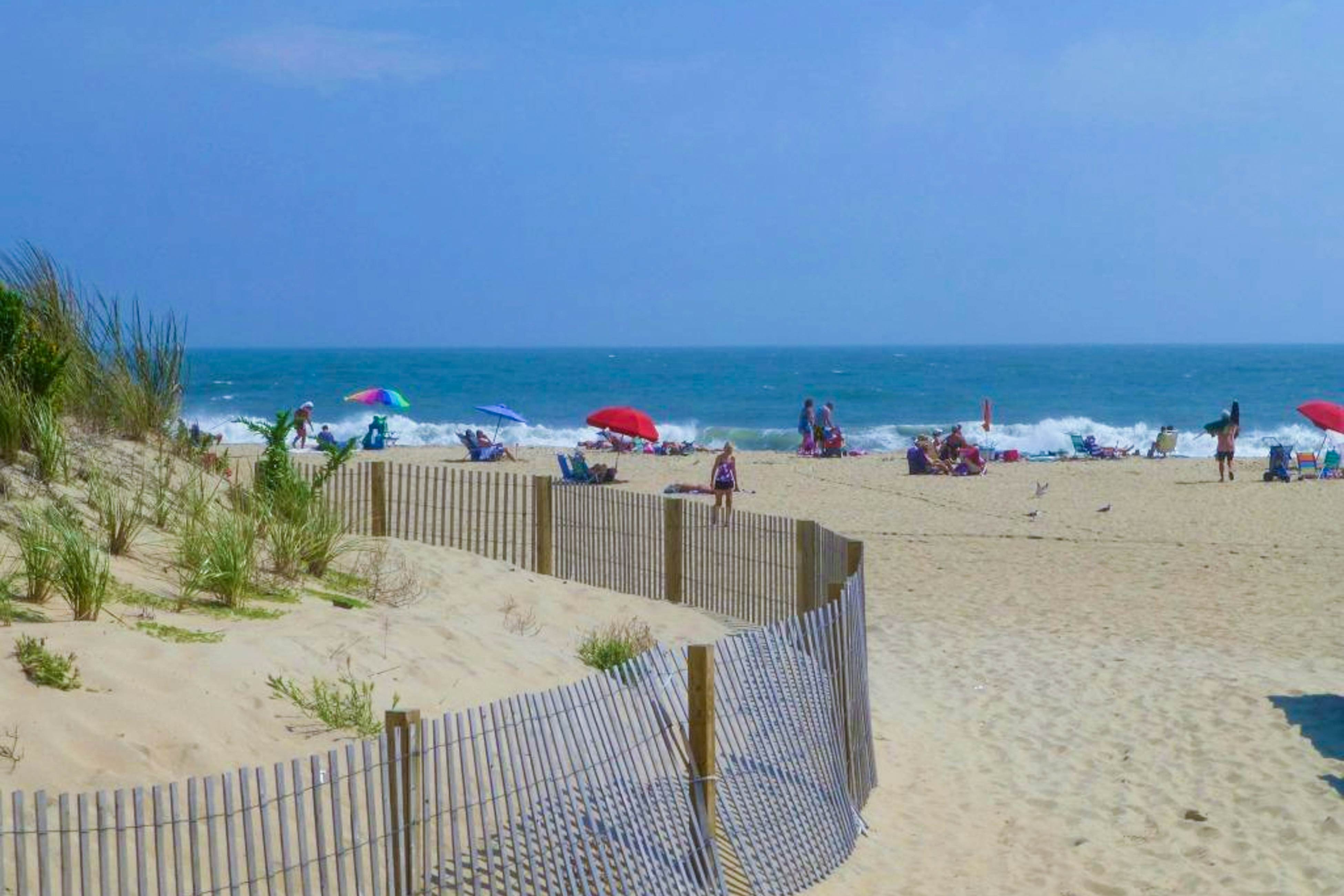 Salt Meadows - 40146 Salt Meadows