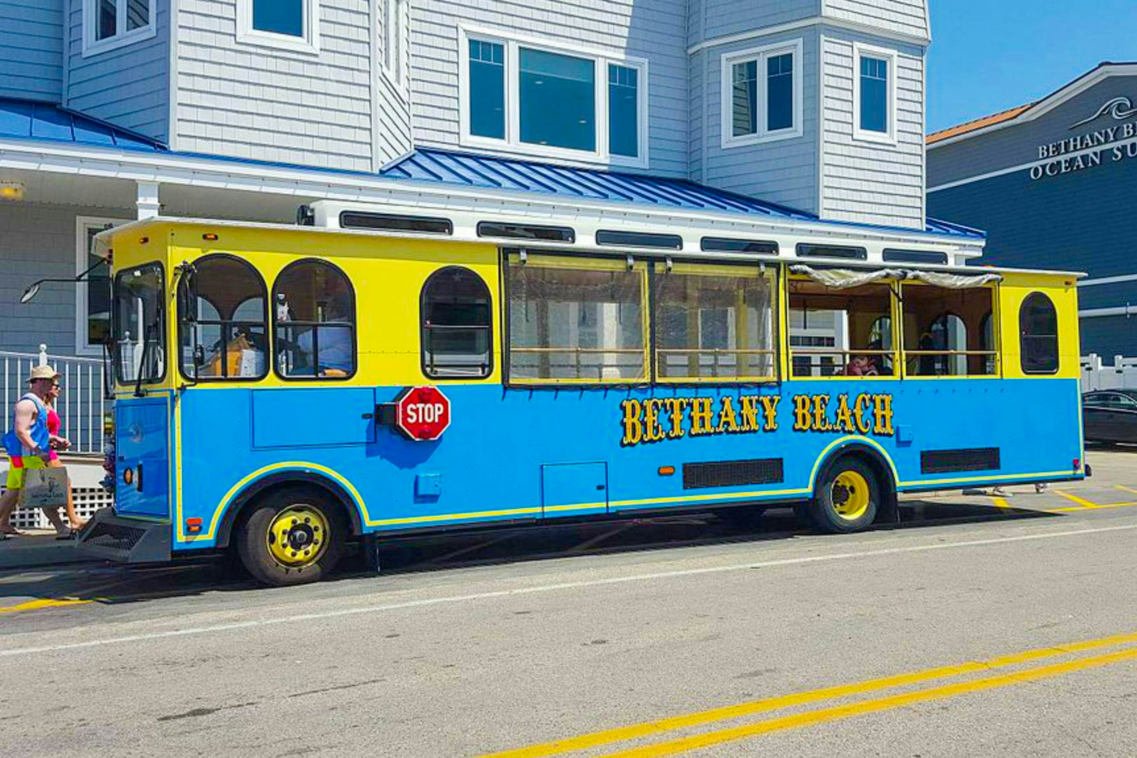 Salt Meadows - 40146 Salt Meadows