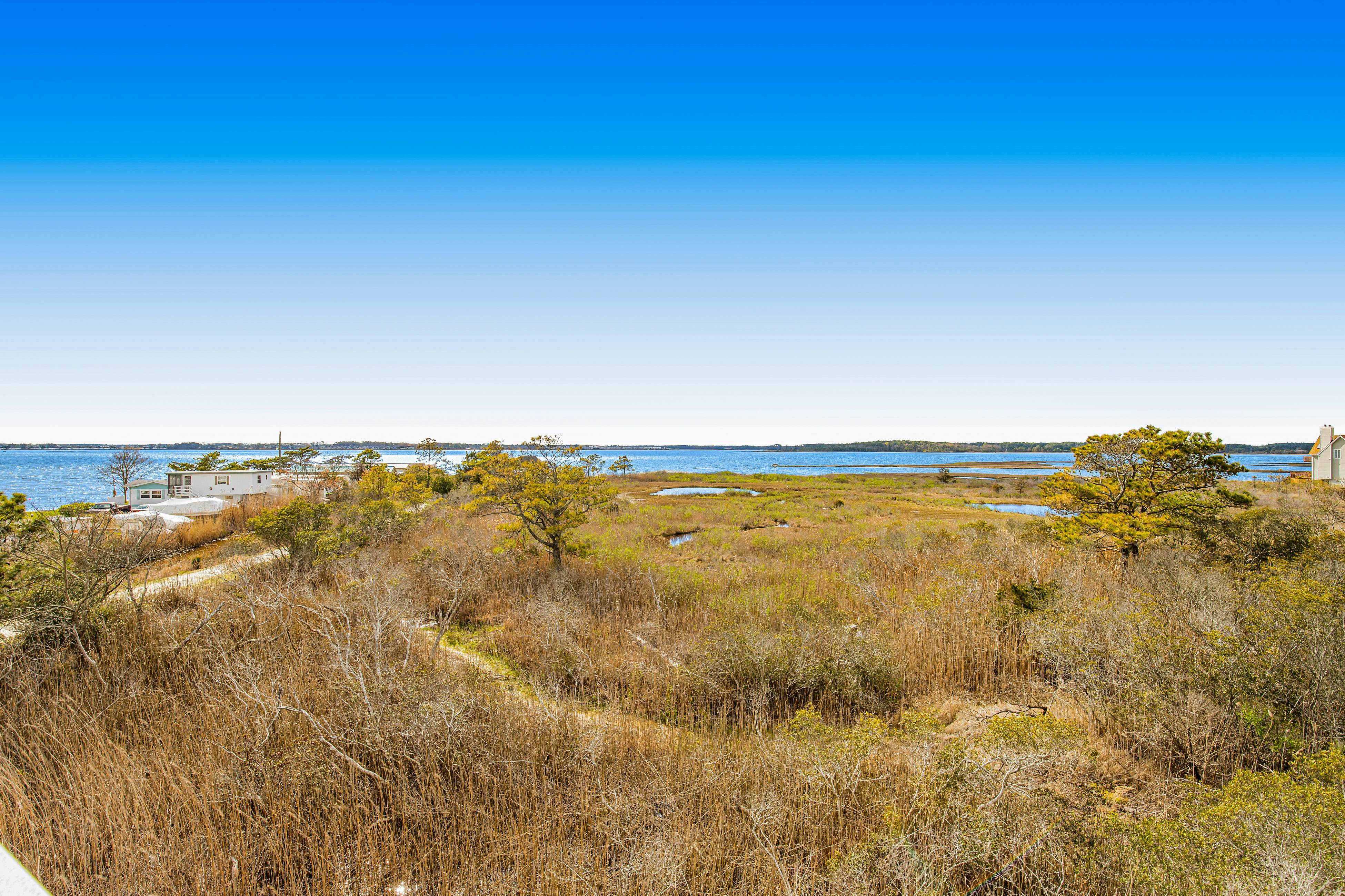 Salt Meadows - 40146 Salt Meadows