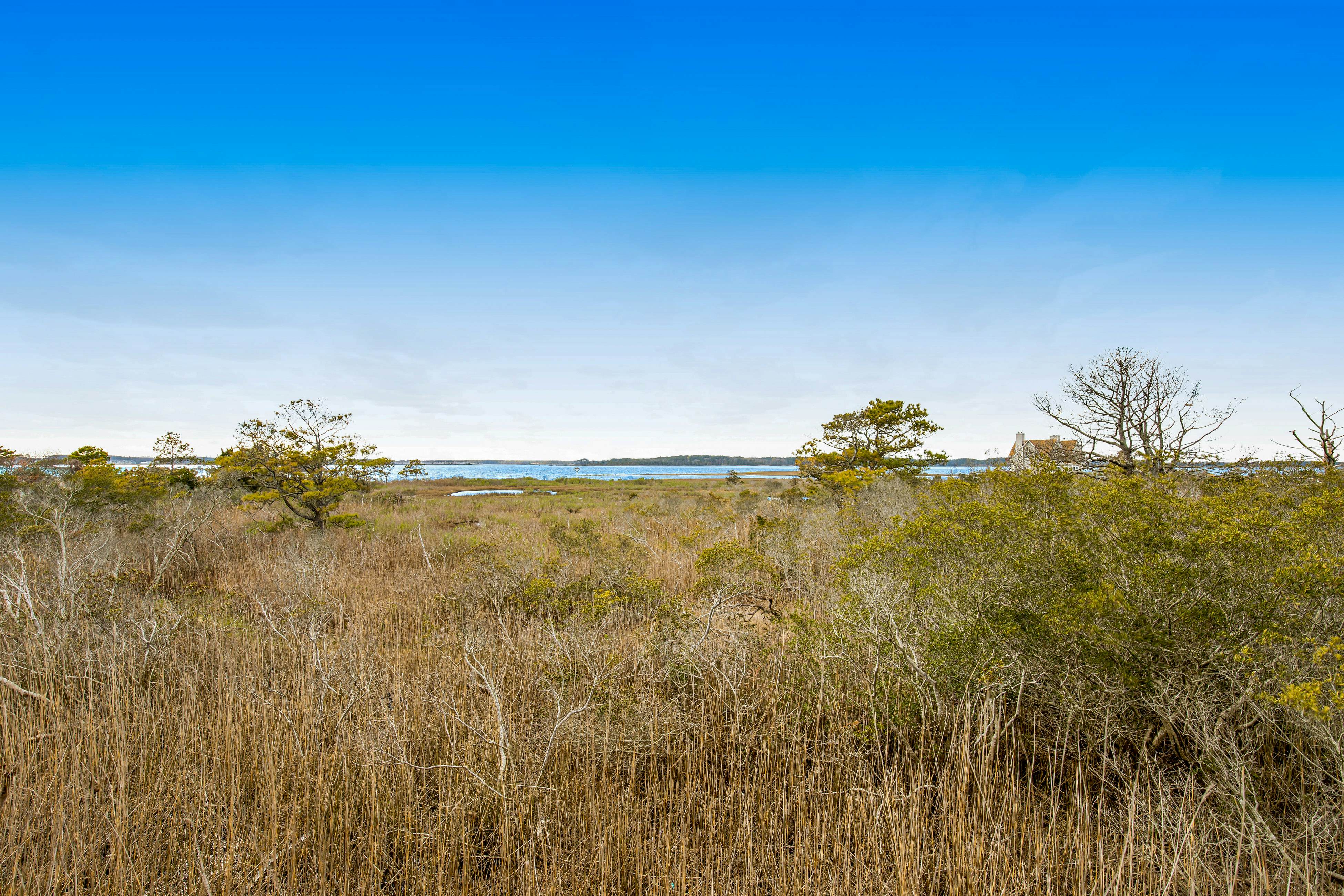 Salt Meadows - 40146 Salt Meadows