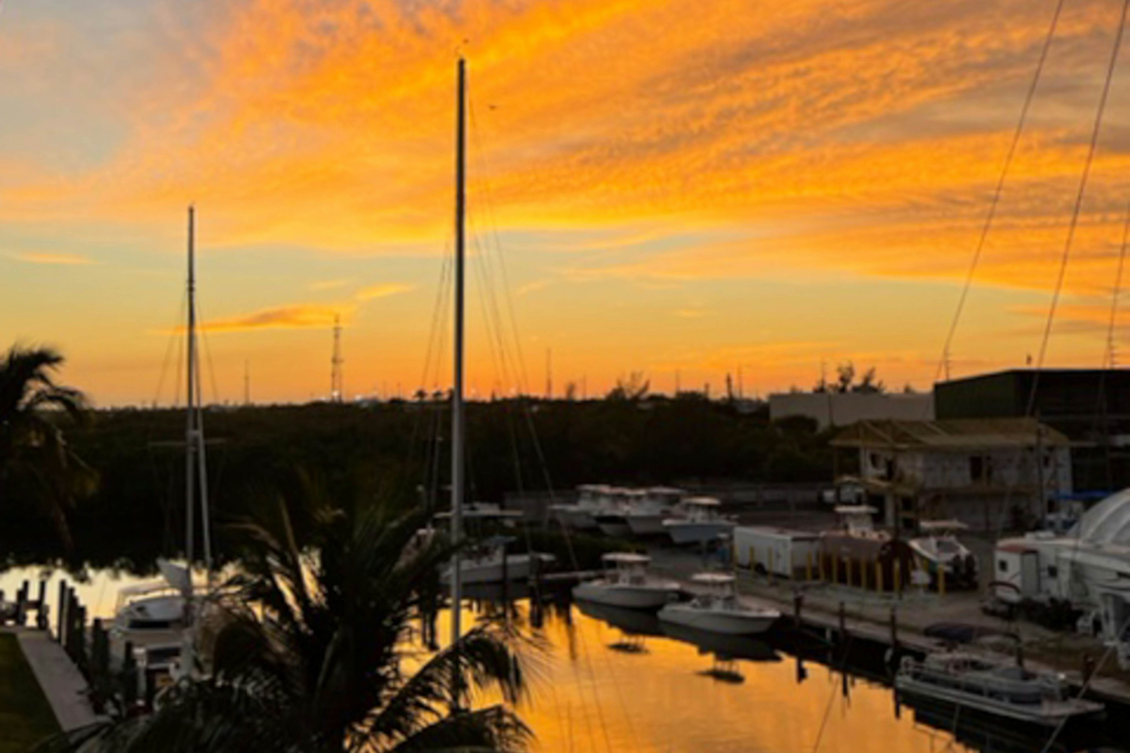 A Little Piece of Paradise