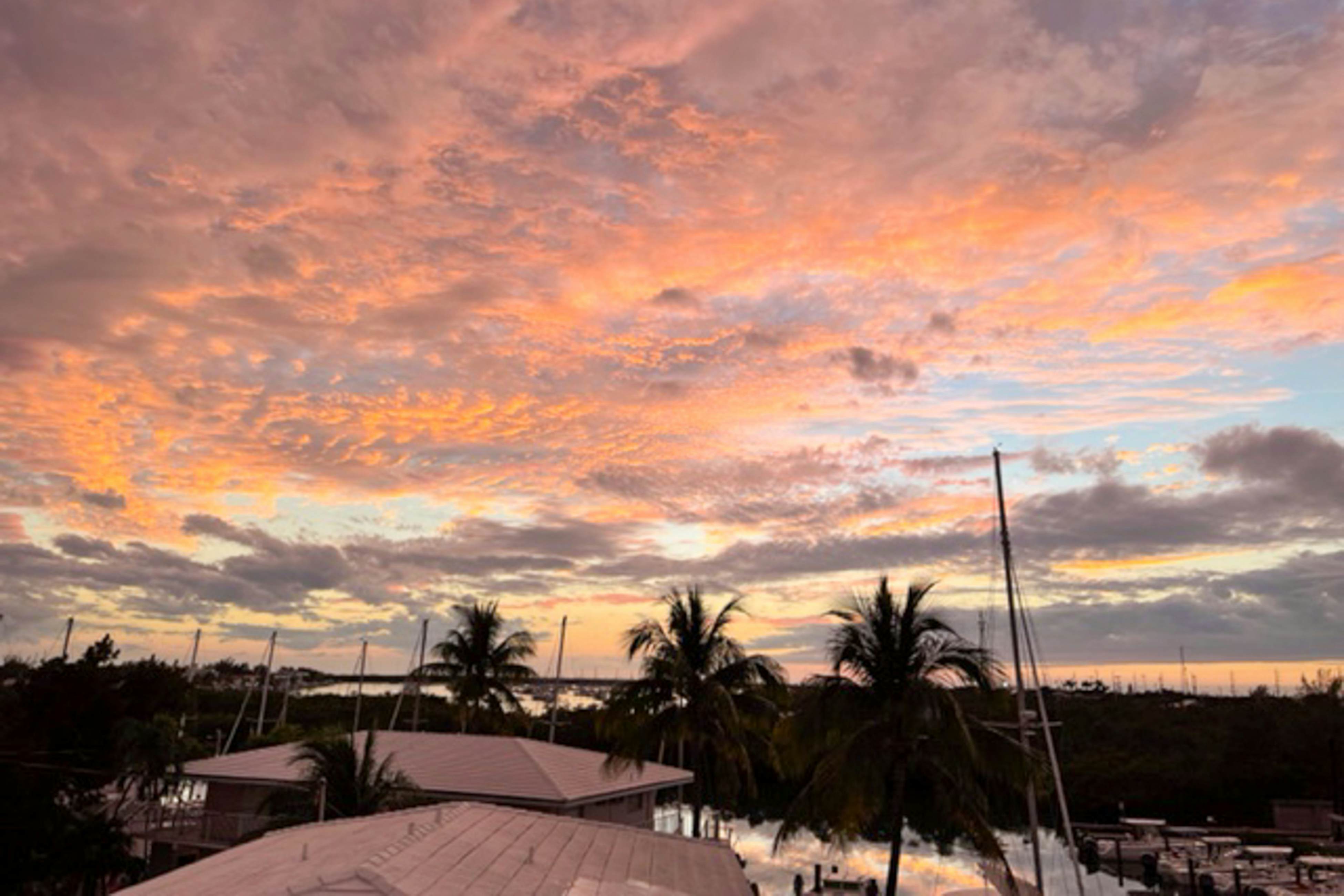 A Little Piece of Paradise