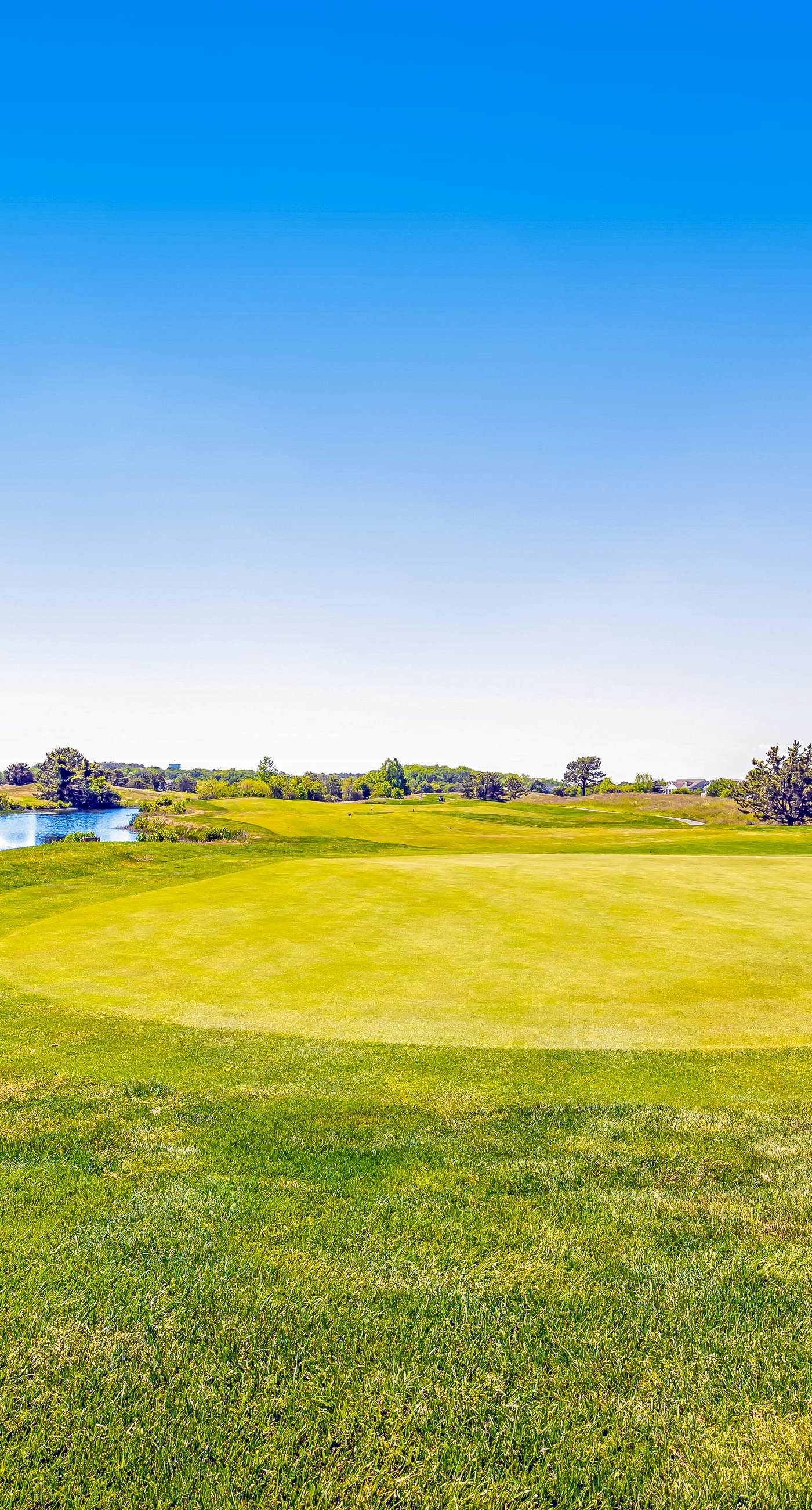 Bear Trap Dunes - 60 Willow Oak Ave