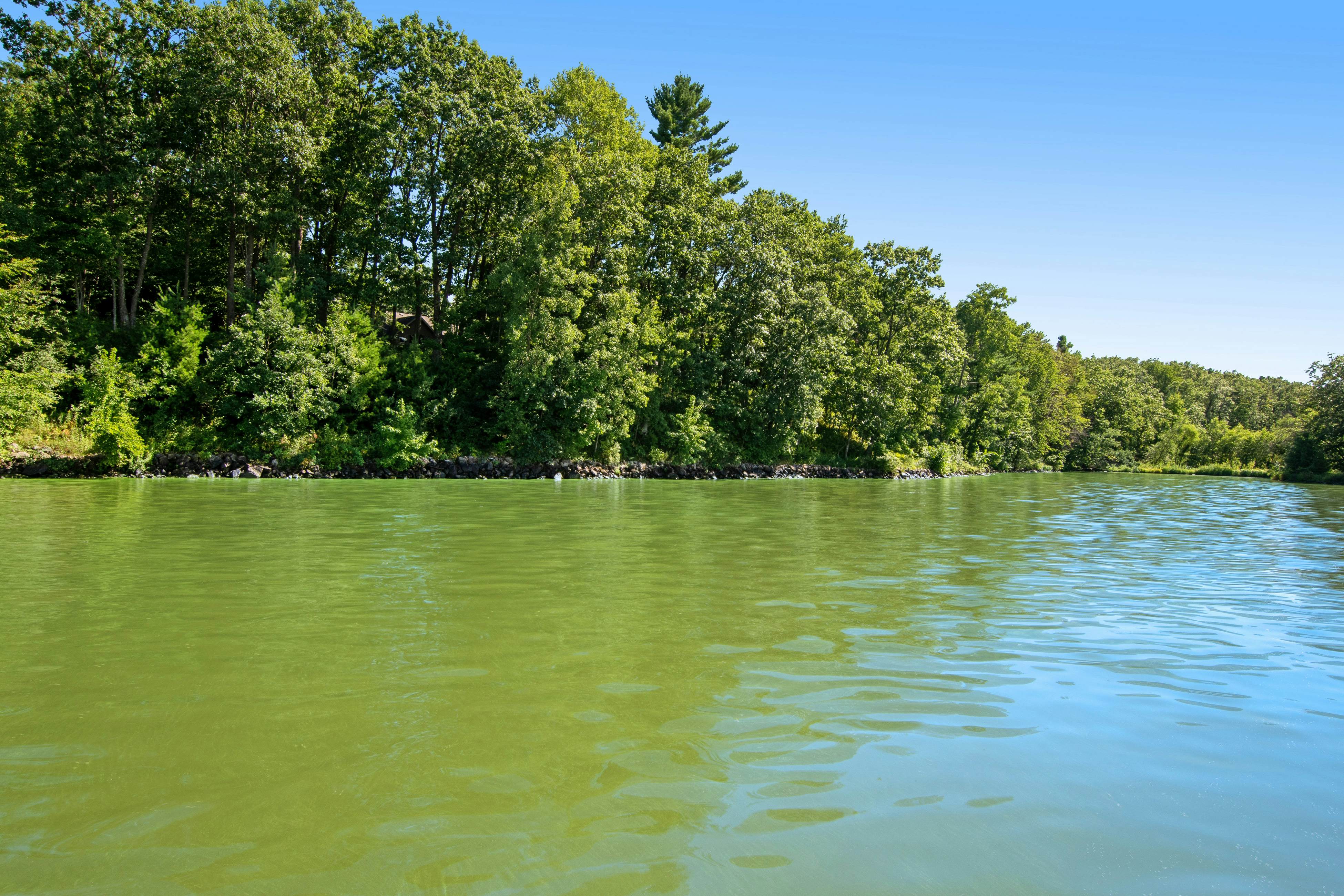 Forever Shores 5 BD Arkdale, WI Vacation Rental Vacasa