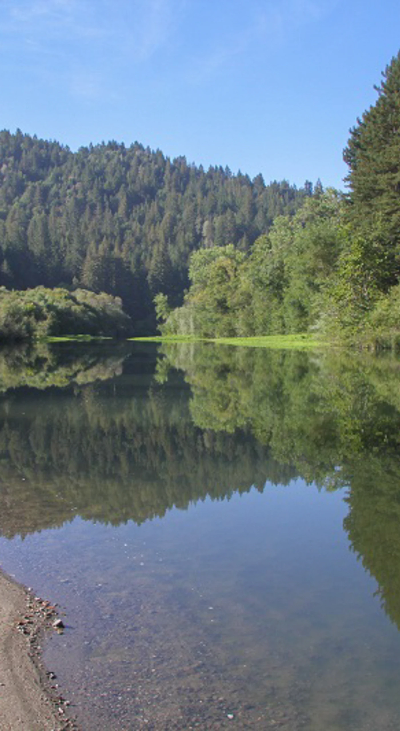 Step outside your door and discover the Russian River at its most serene — glassy water reflecting towering redwoods, a pebbly beach, and nothing but birdsong.