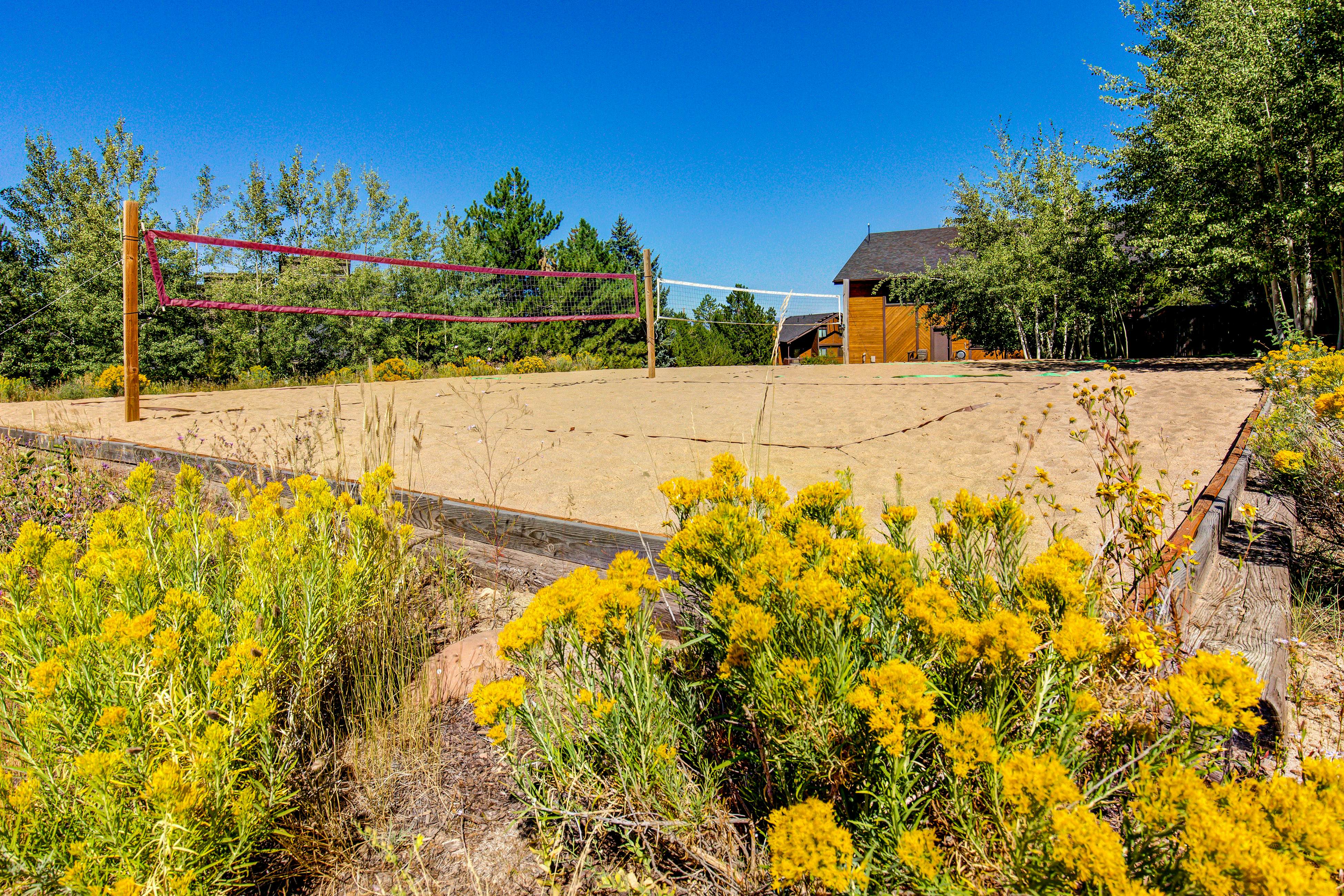 Red Pine Ponderosa #P3