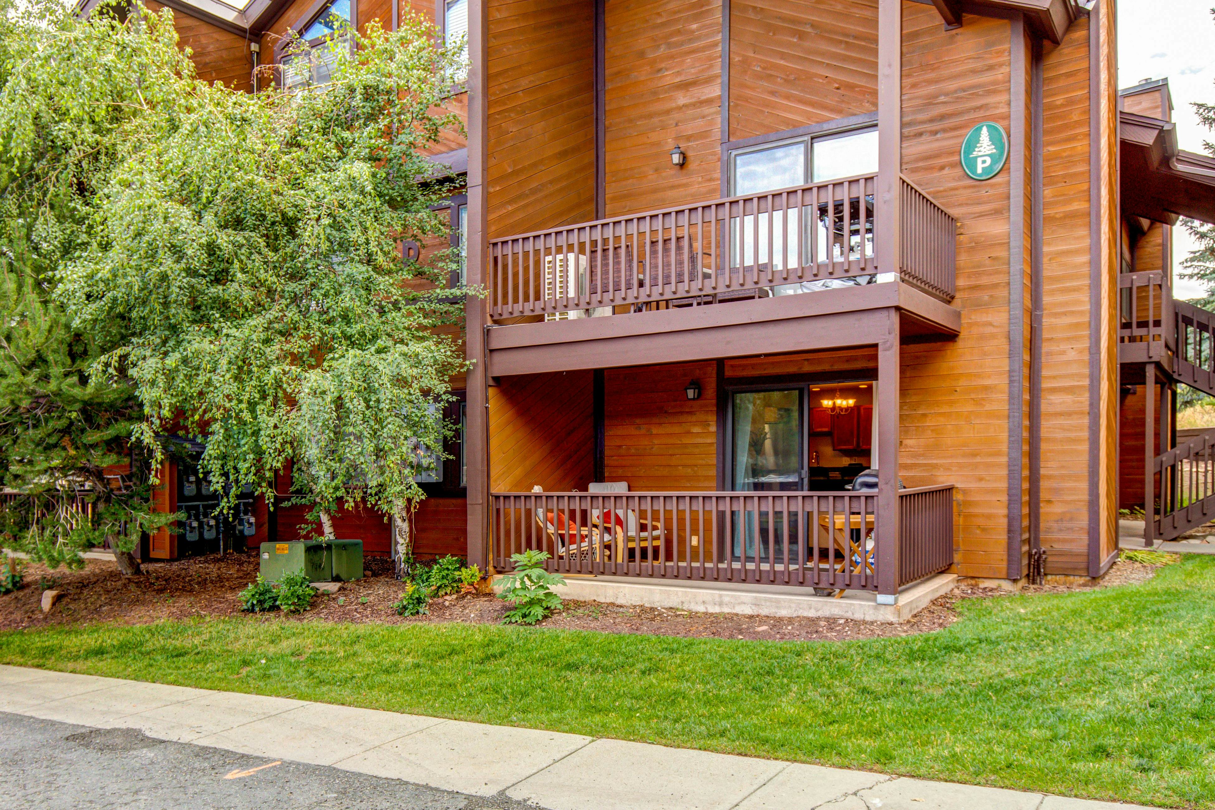 Red Pine Ponderosa #P3