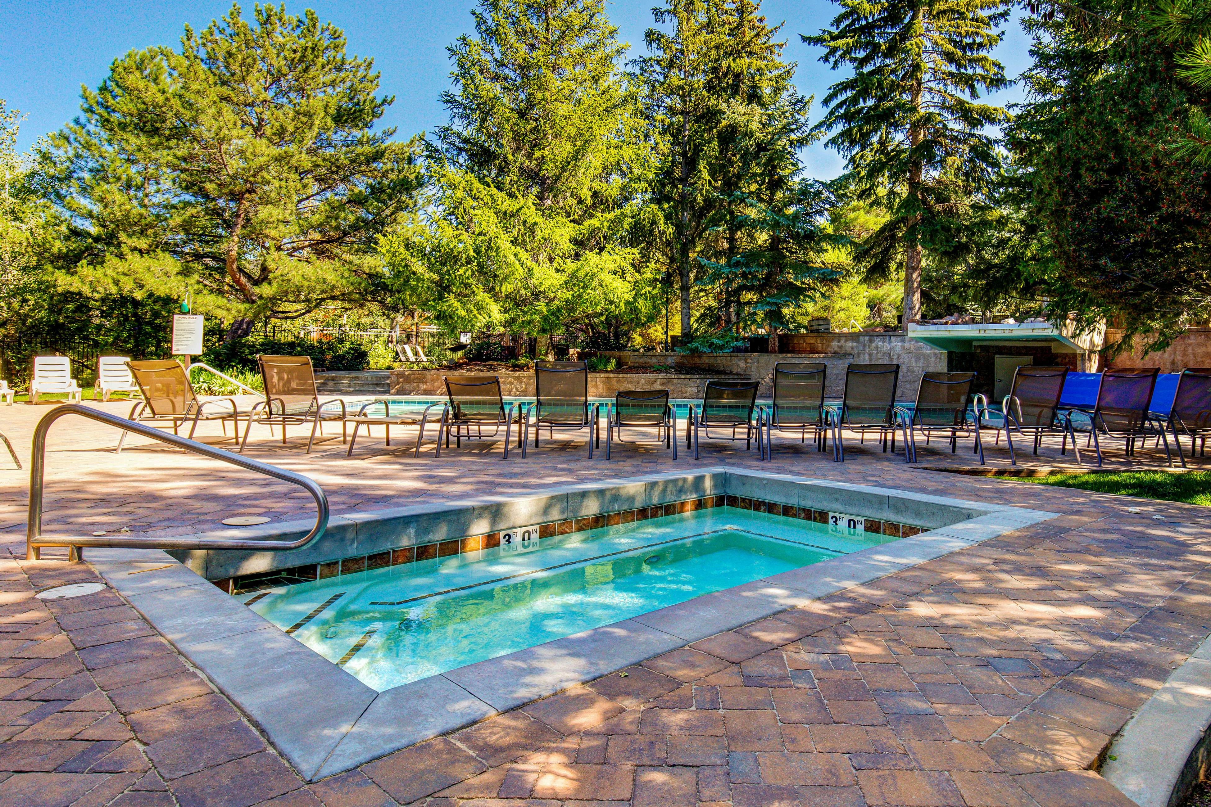 Red Pine Ponderosa #P3