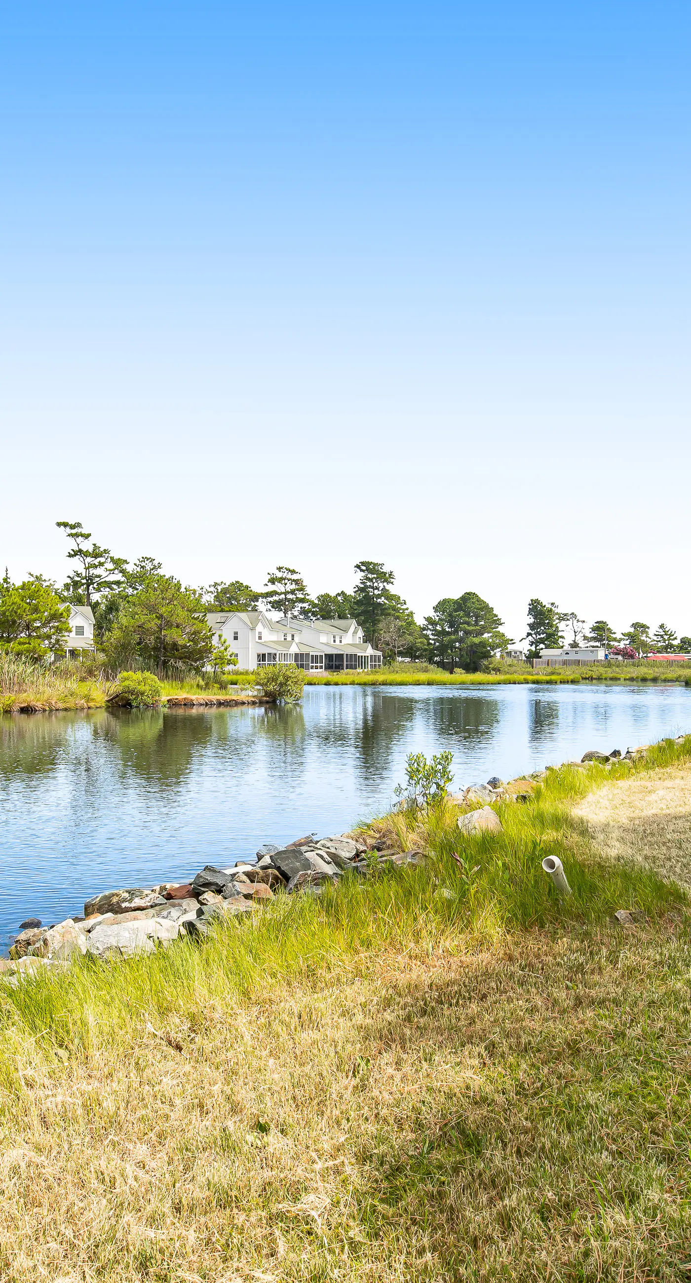 Mallard Lakes - 38256 Hummingbird Ln #218